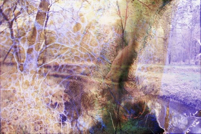 Ajay Malghan_Collaborations with Nature_71_1.jpg