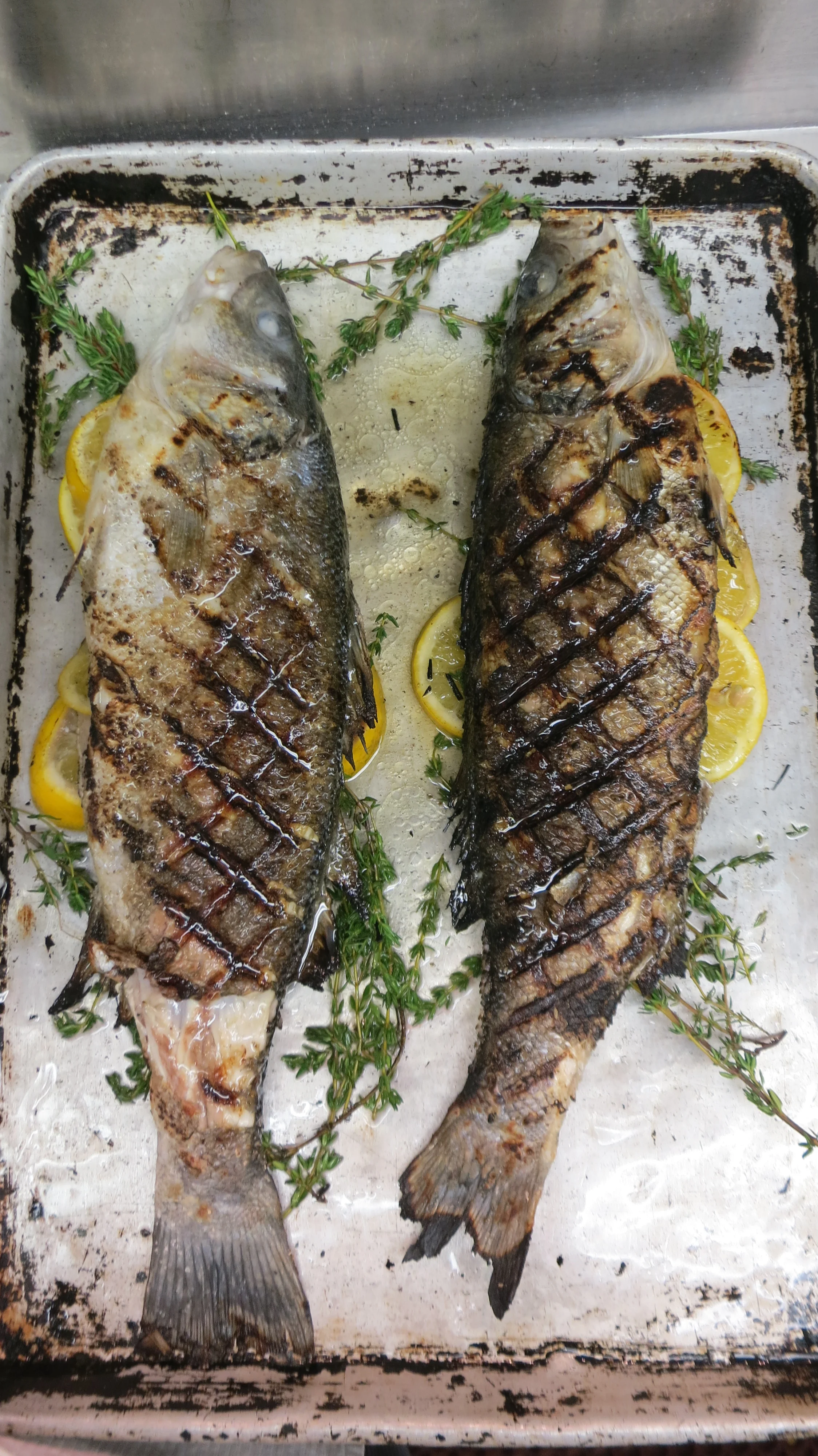 Branzino