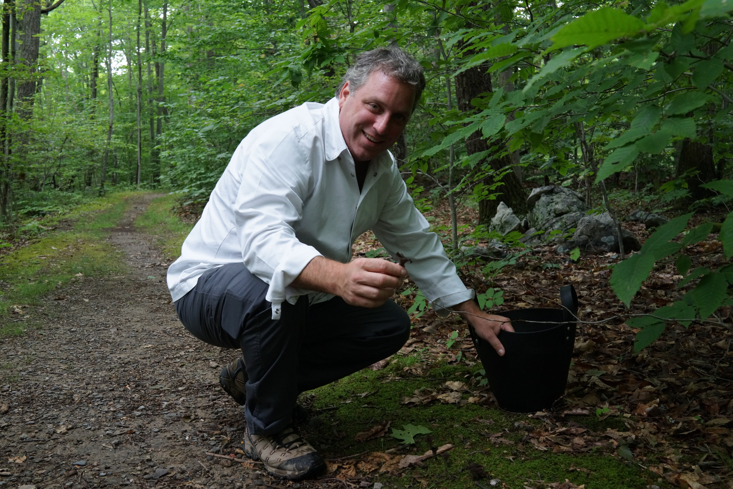 Mushroom Foraging