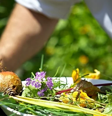 8-4-14_CrystaSprings_Food_069 2-XL.jpg
