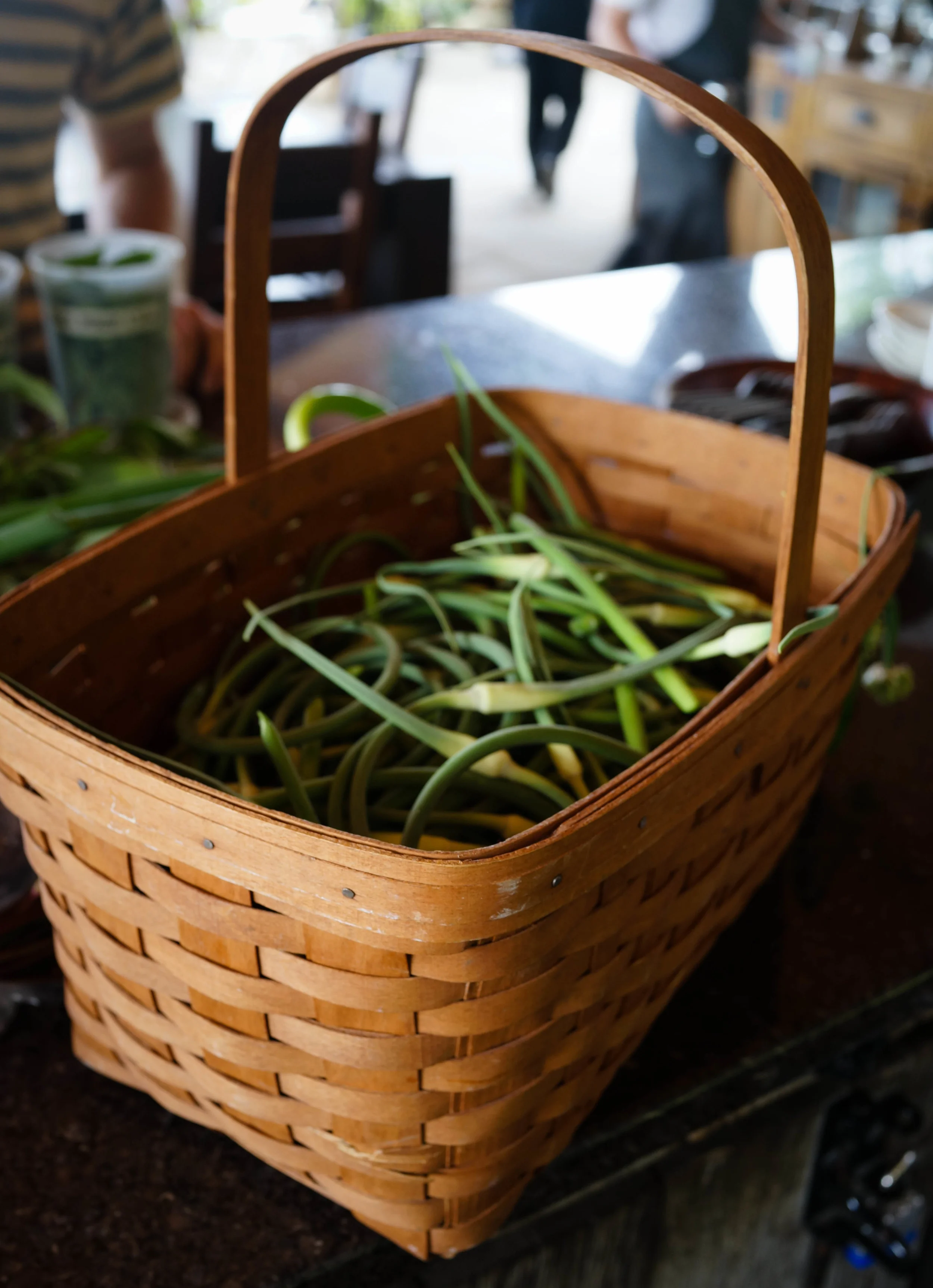 Garlic Scapes