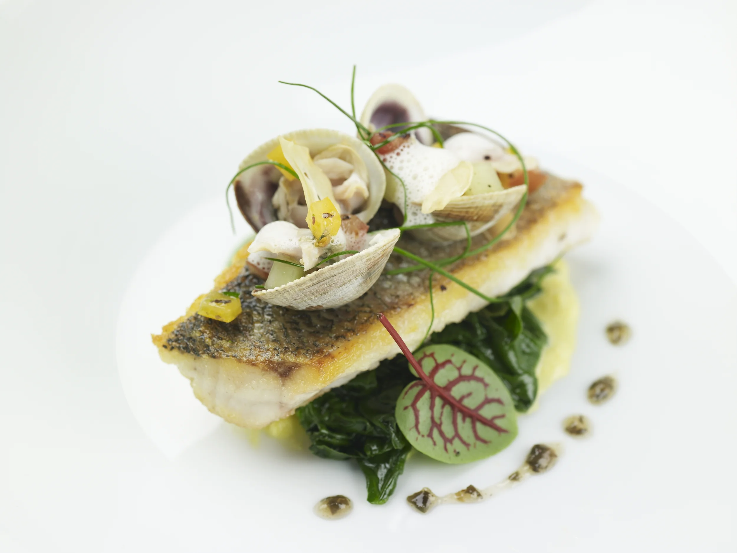 Bronzino / Manila Clams / Bloomsdale Spinach