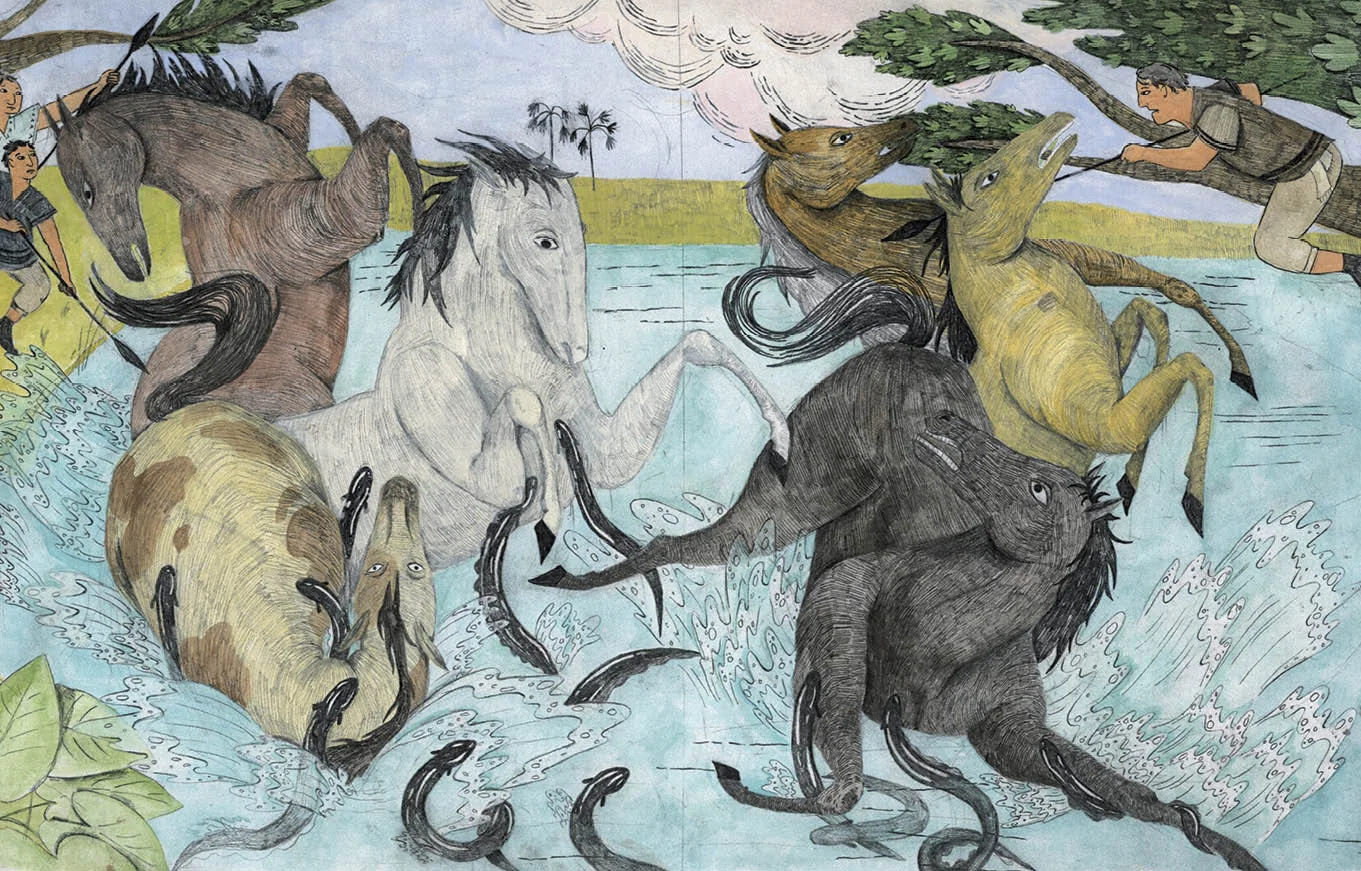 HorseImage_lam.jpg