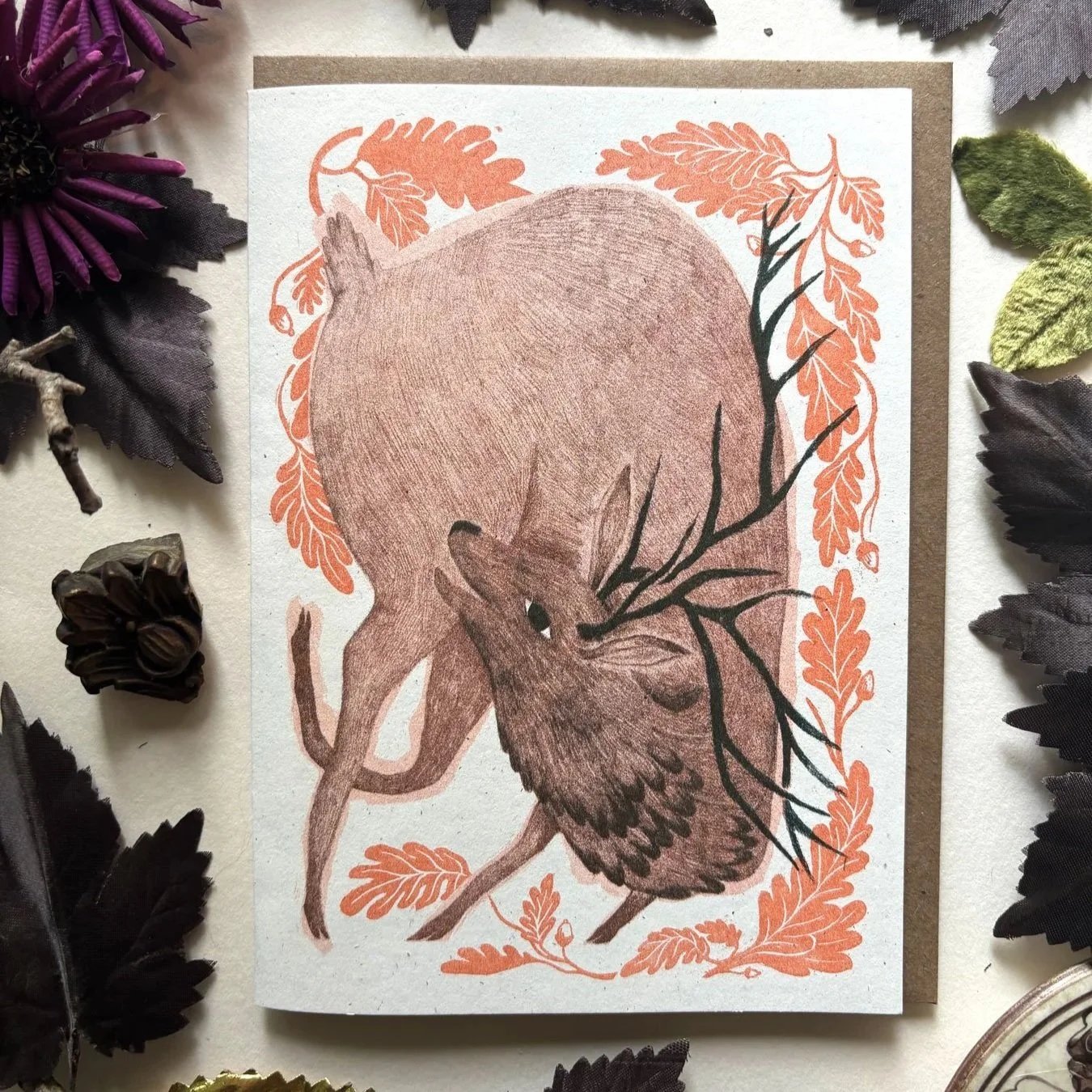 Elk_photo.jpg