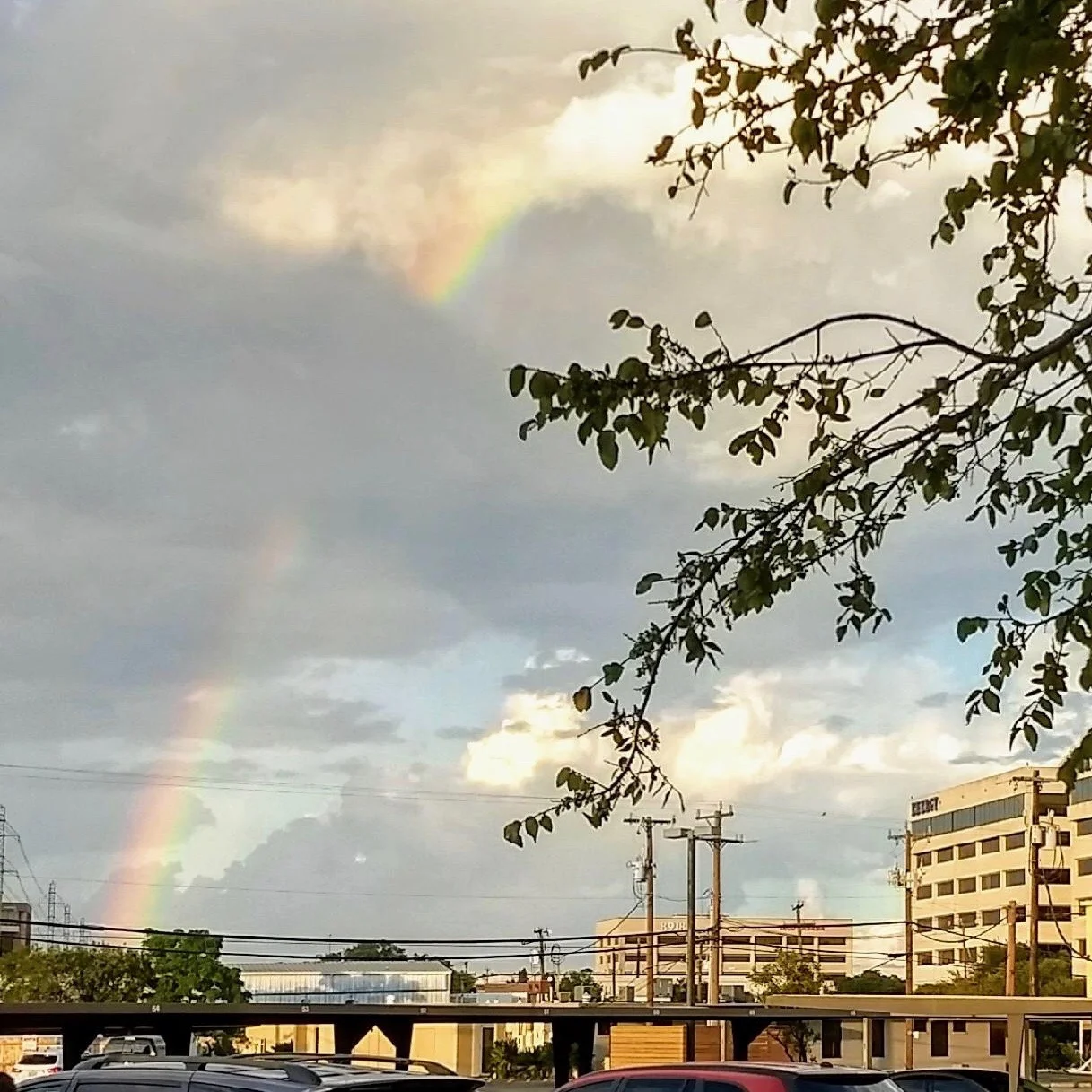 Pregnancy and Infant Loss Awareness