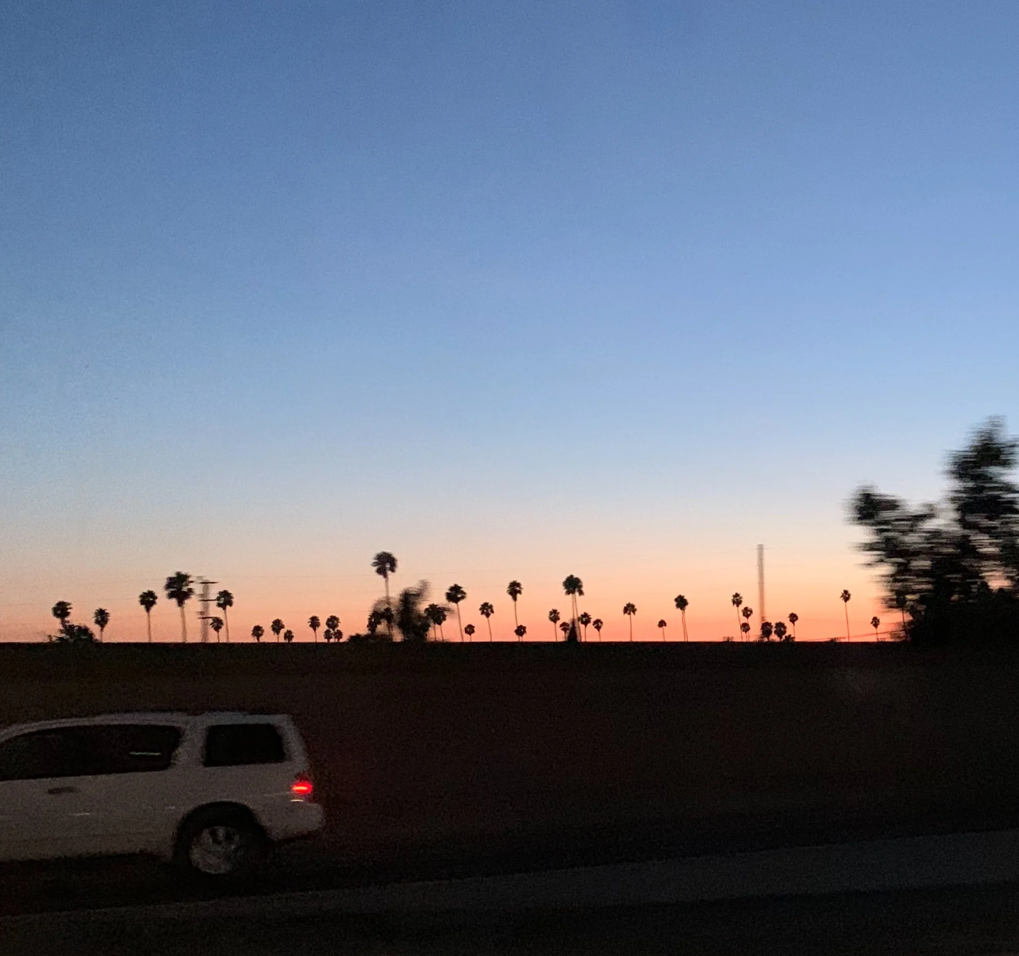 Bittersweet End of Summer