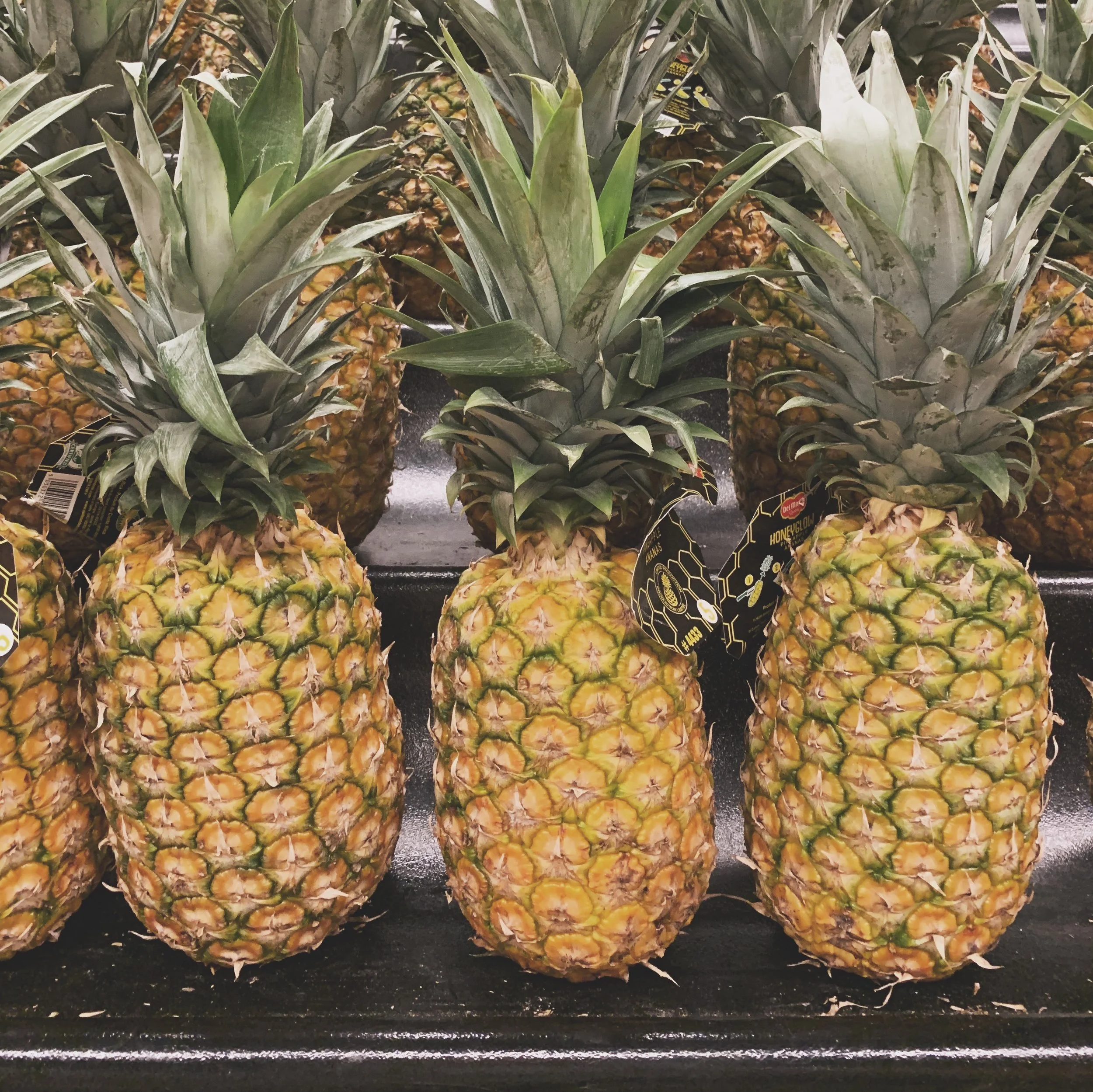 IVF Update: Pineapples and Other Prickly Things