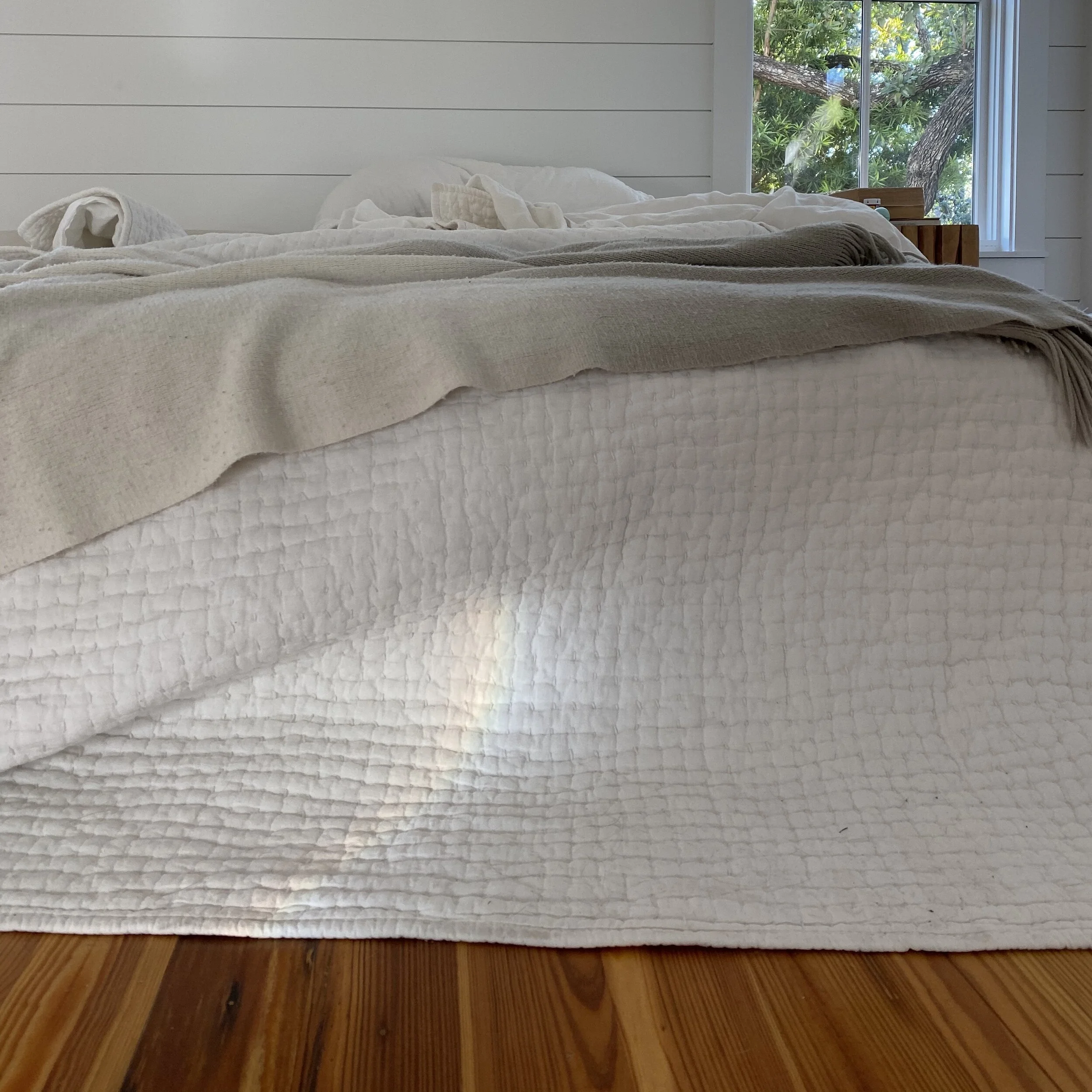 Frozen Embryo Transfer