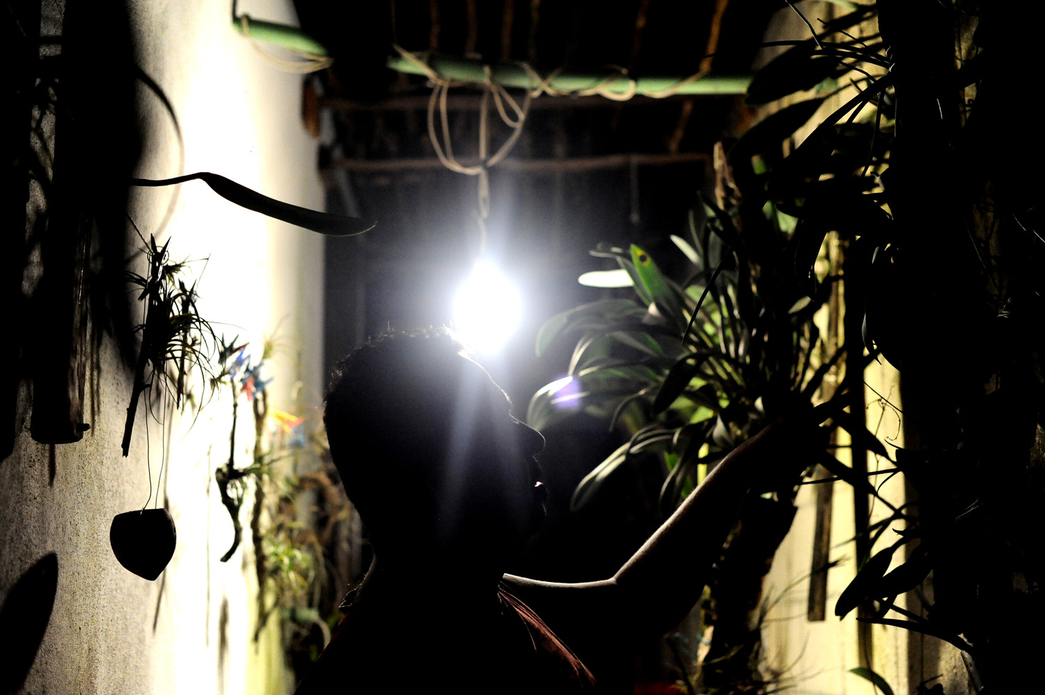 My brother Carlos and his love for plants.