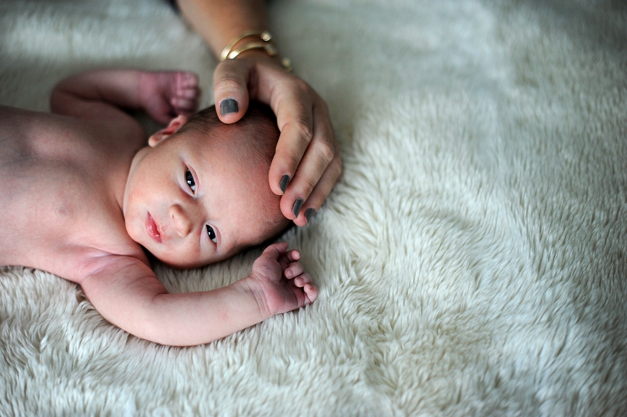 warm baby family photoshoot.jpg