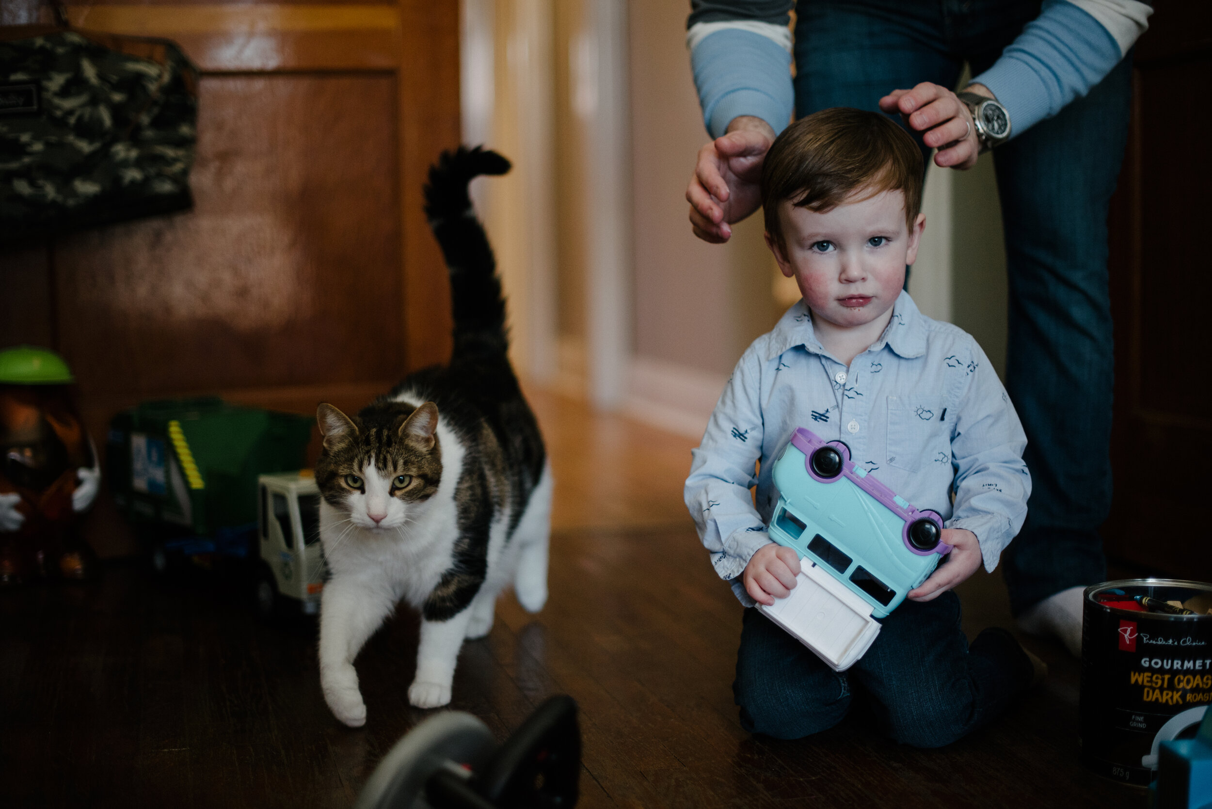 boy with cat family photoshoot.jpg