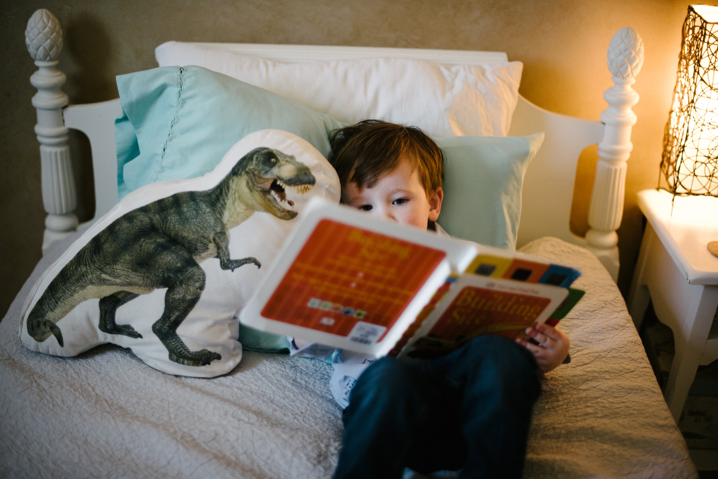 boy reading family photoshoot.jpg