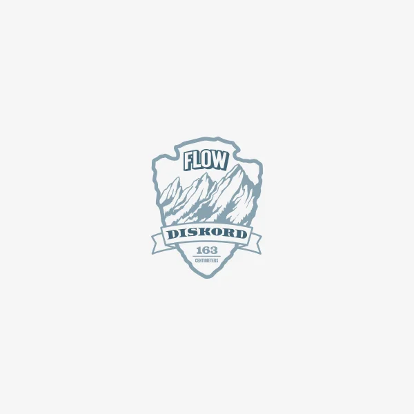 evrybdy logo design branding seattle flow discord corin mcdonald