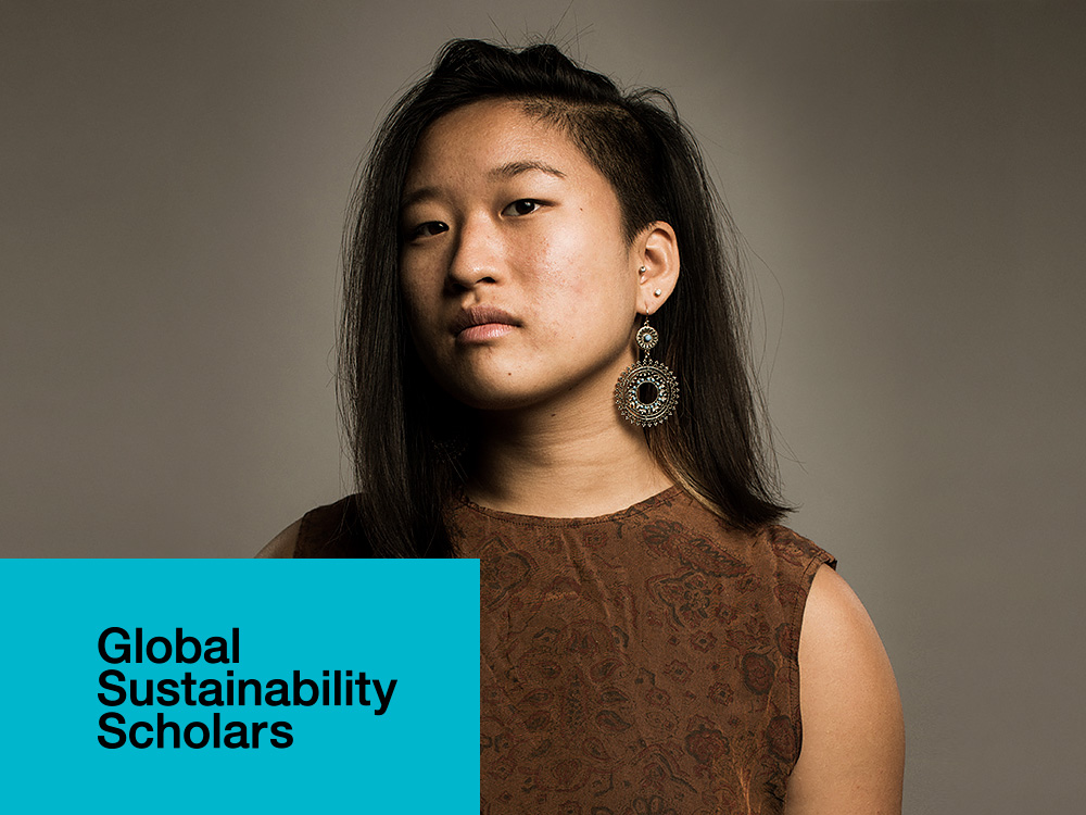 Global Sustainability Scholars