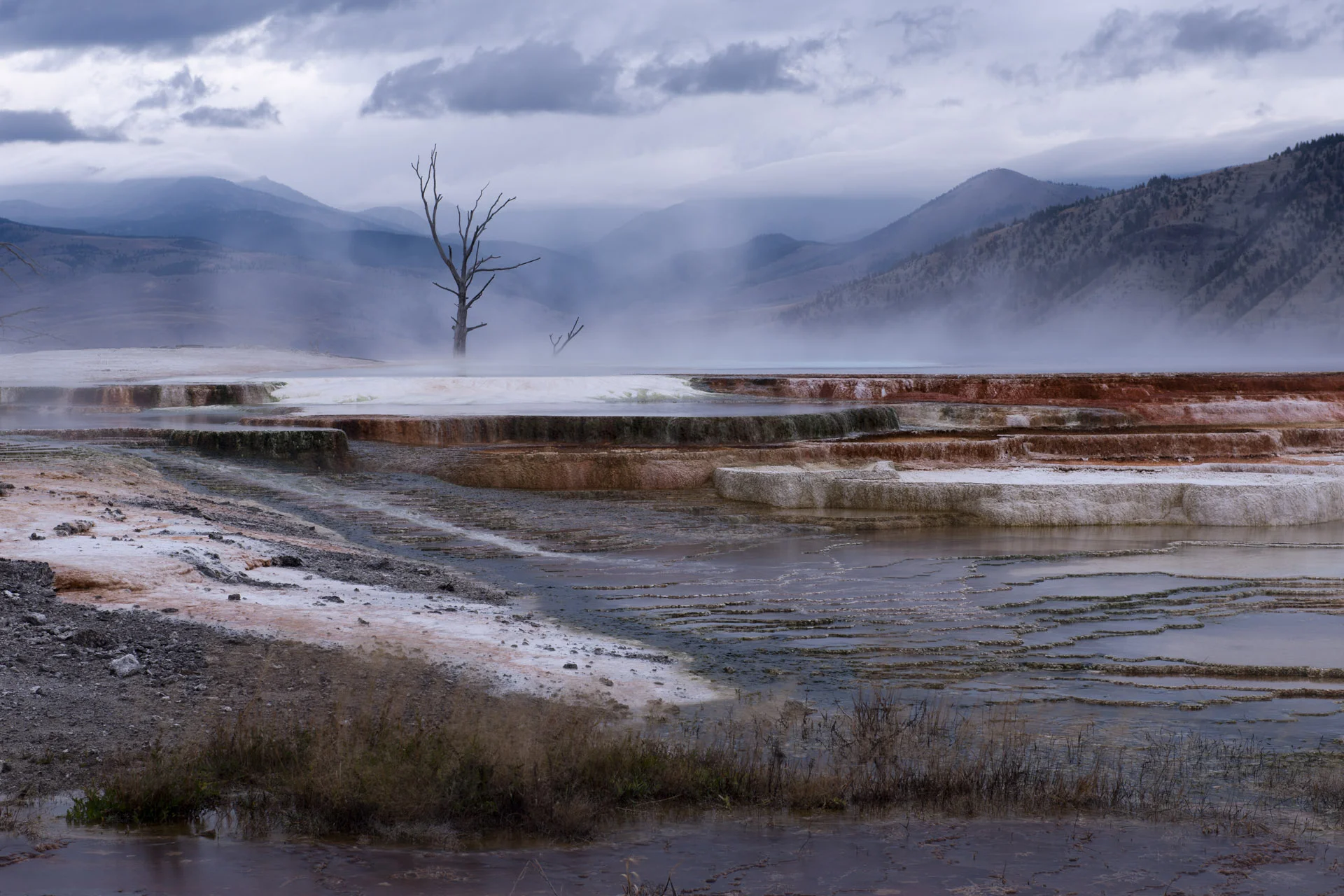 Dawn at Yellowstone