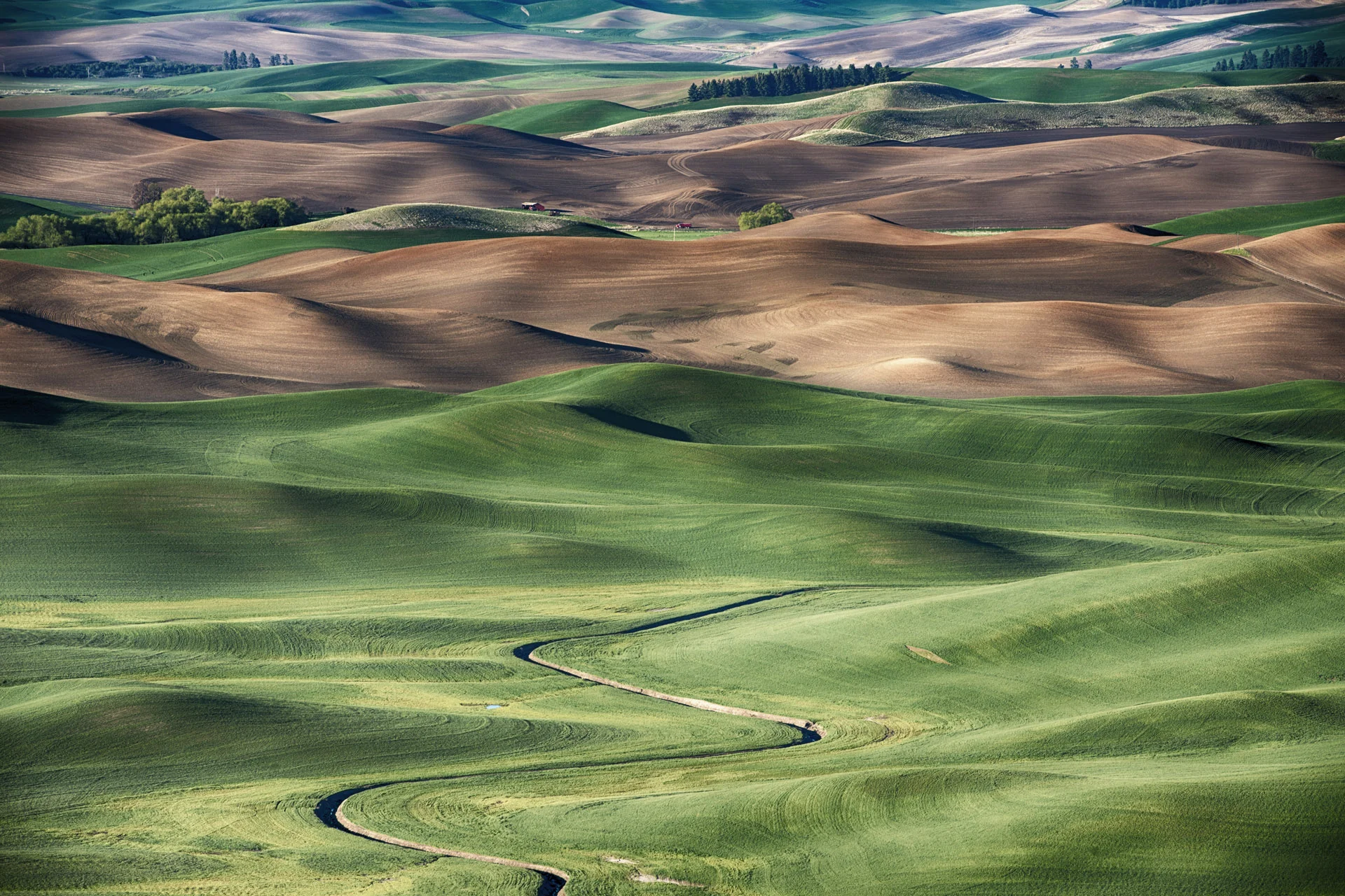Palouse, Washington