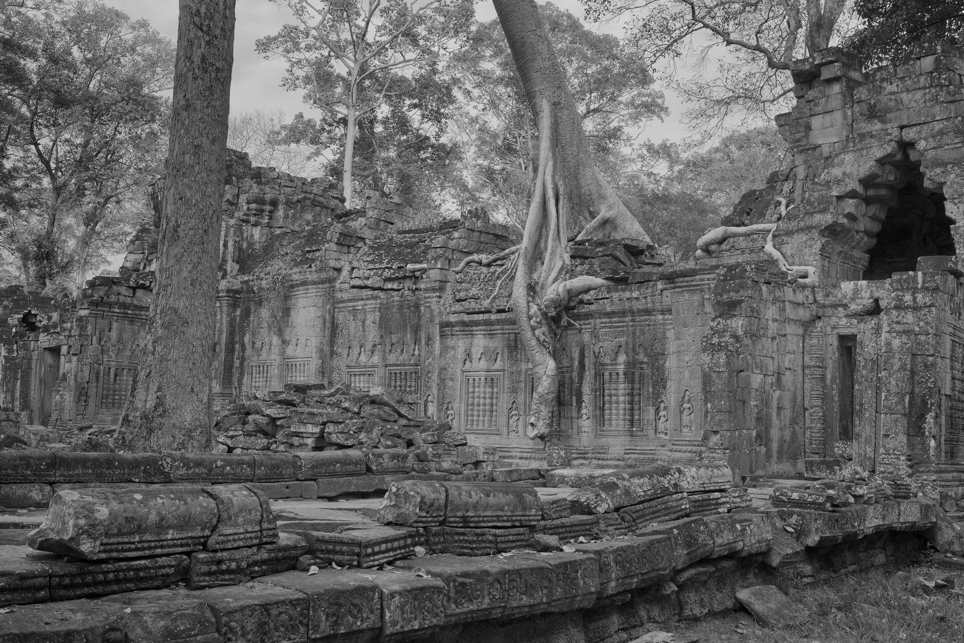 Ta Promh - Cambodia