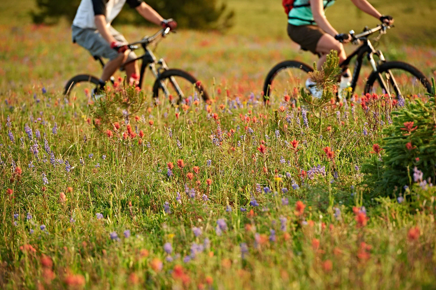 20140724_MTBVail_07.jpg