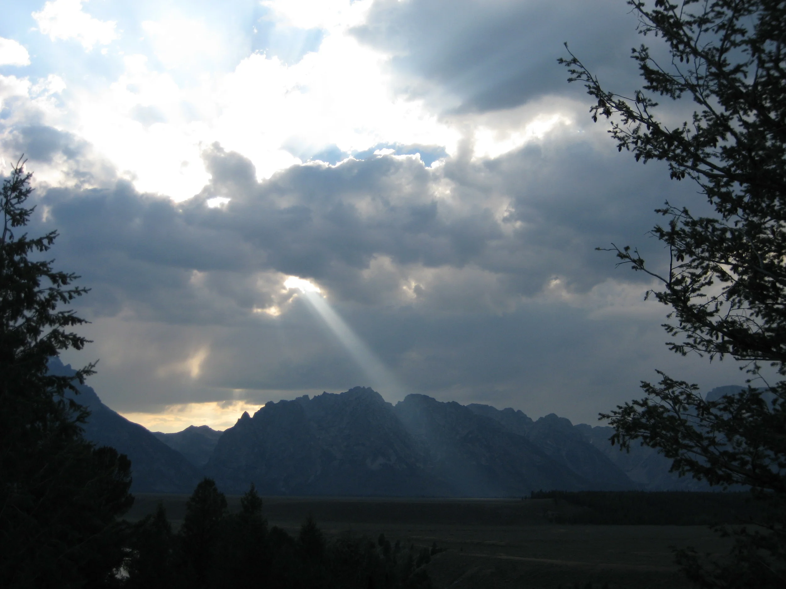 IMG-0431.jpg