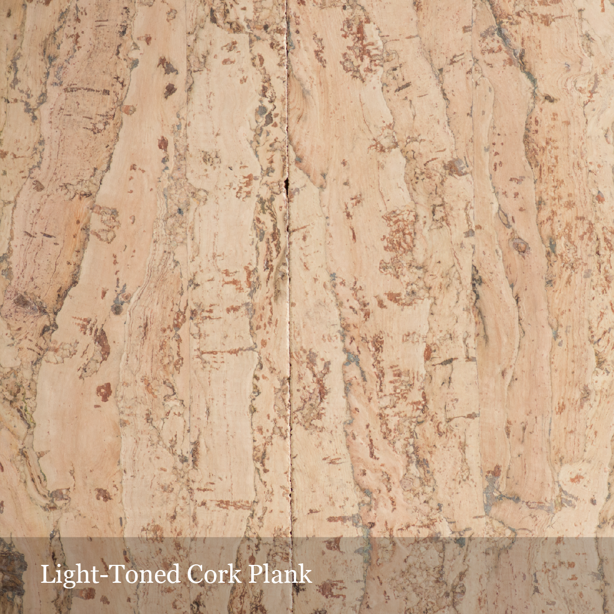 light-cork-plank-01.png