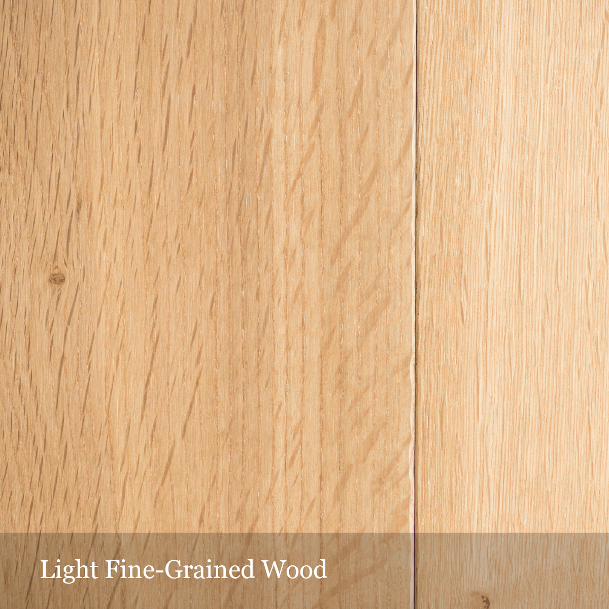 light-fine-wood1-01.png