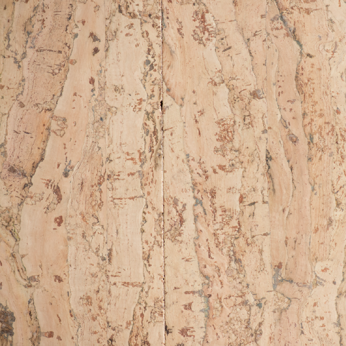 SQlight-cork-plank-01.png