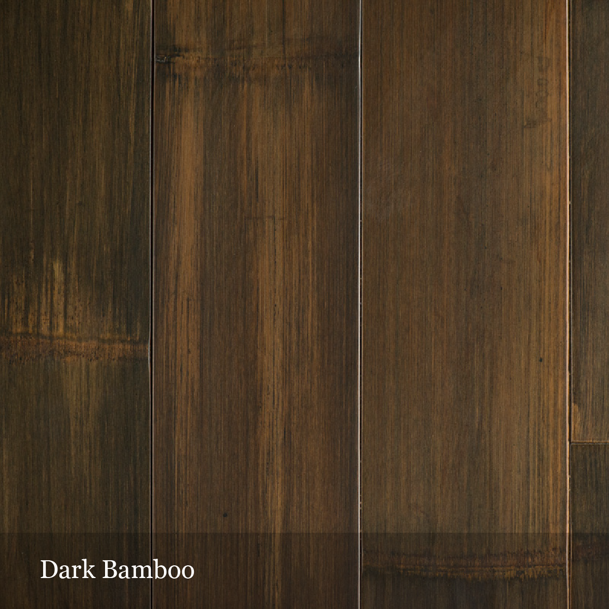 dark-bamboo-01.png