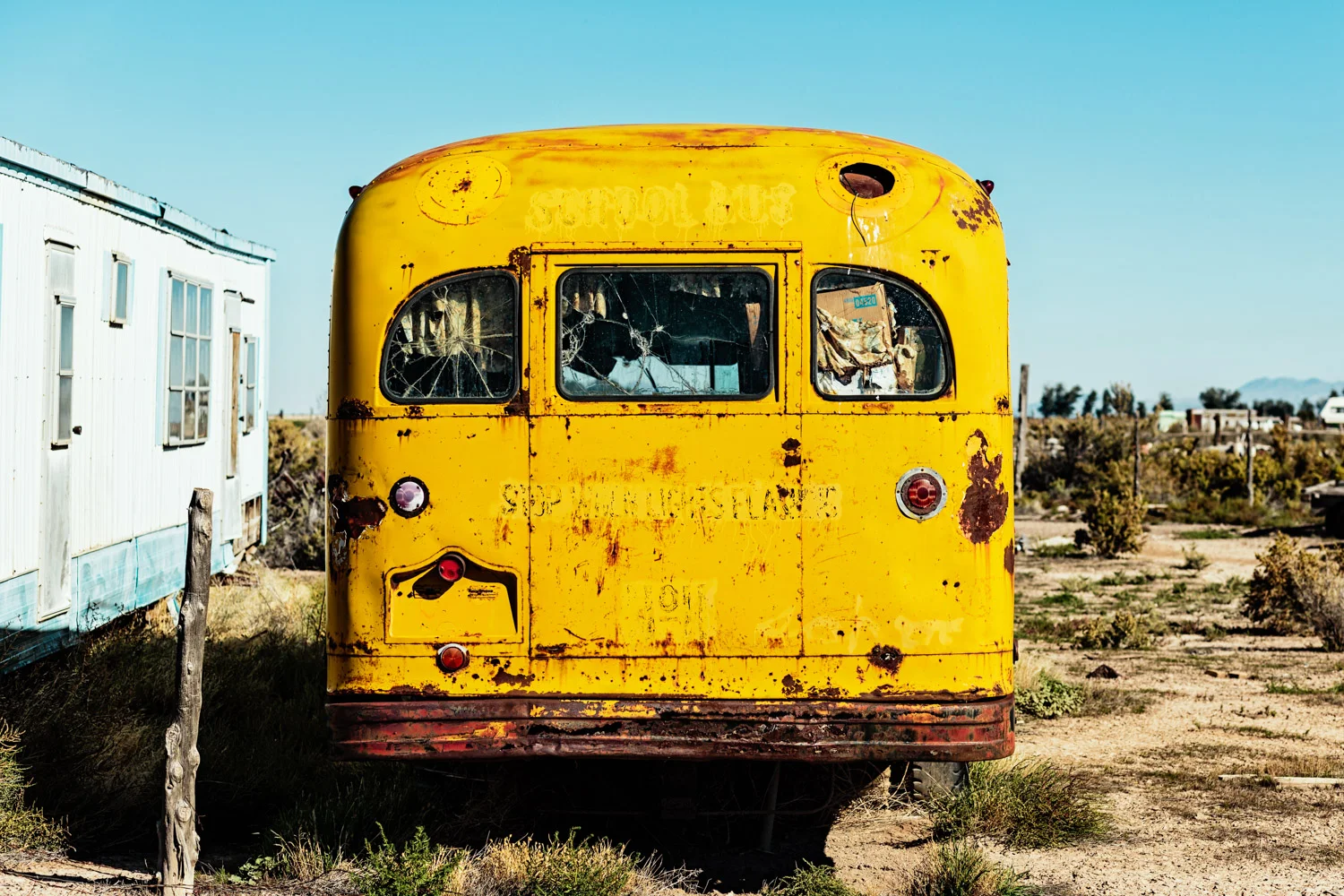 bullet_bus_nv-2.jpg