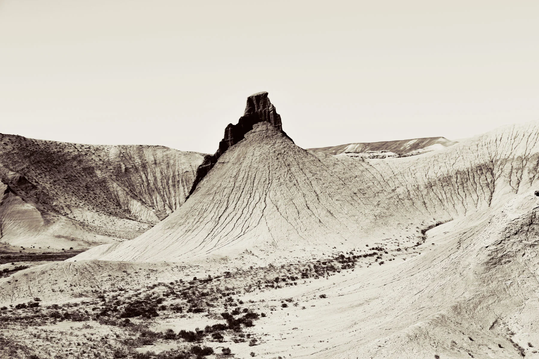 utah_bronto_1800.jpg
