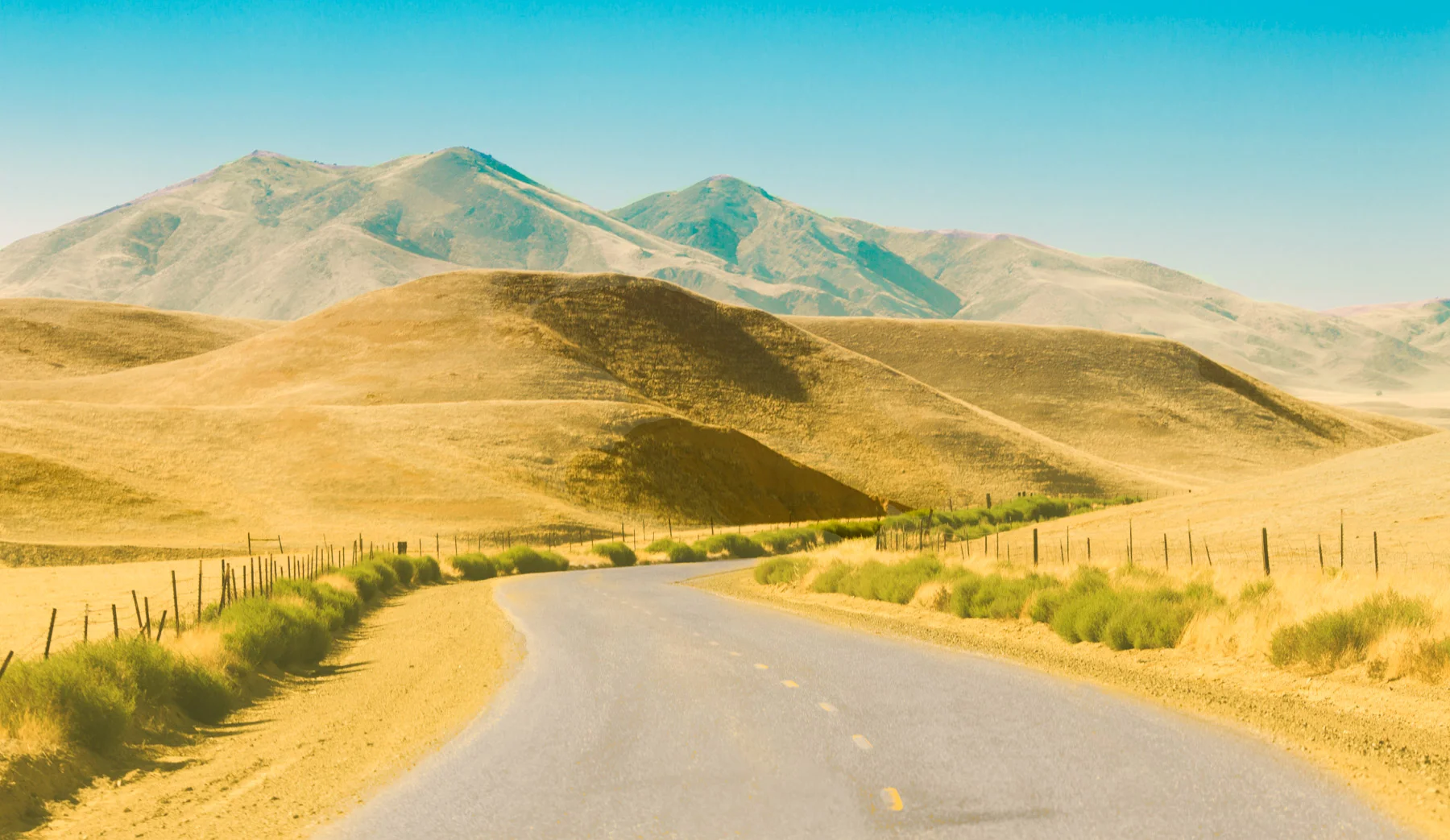PANOCHE VALLEY #1