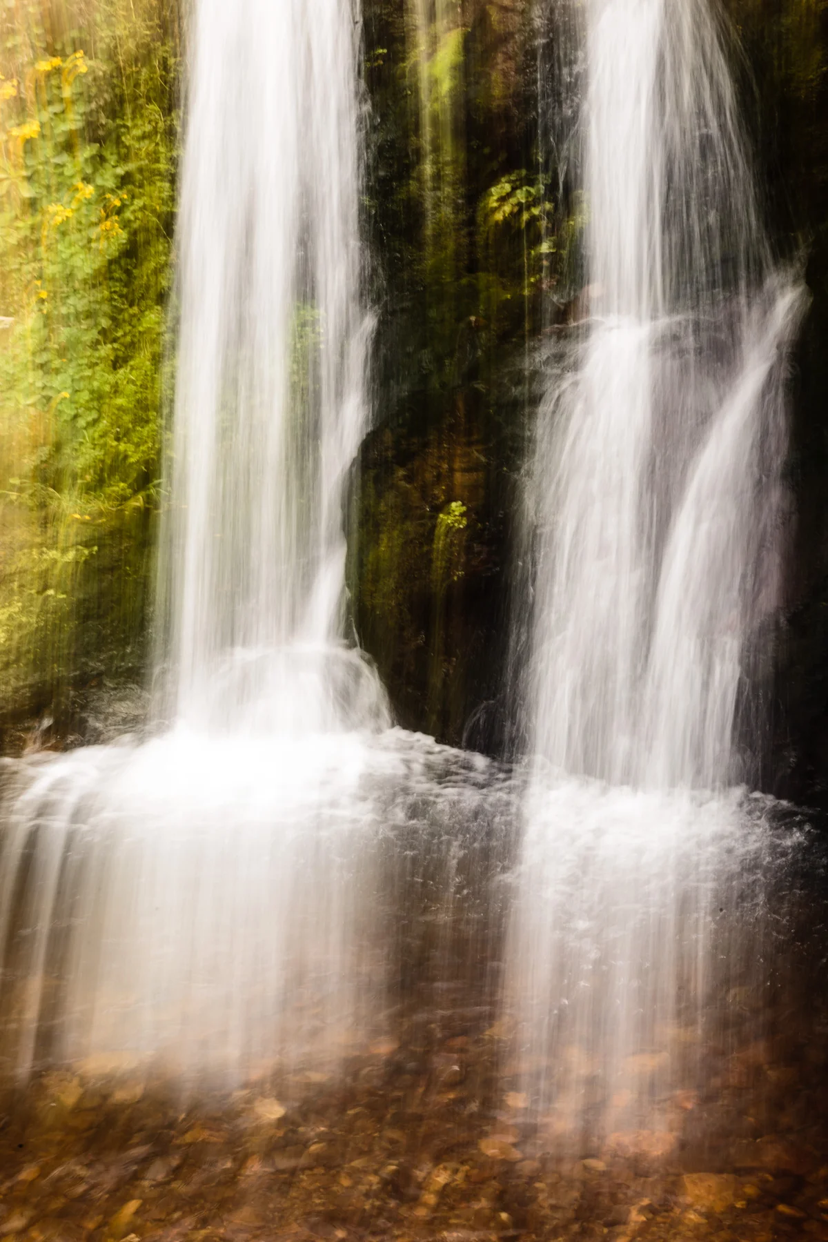 ALAMERE FALLS #1