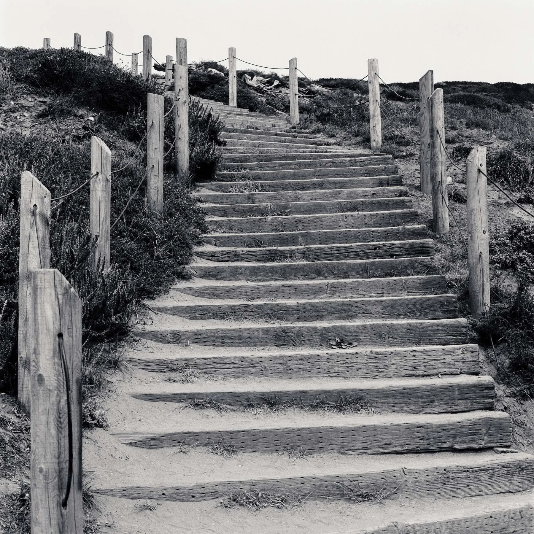 SUTRO STAIRS #1