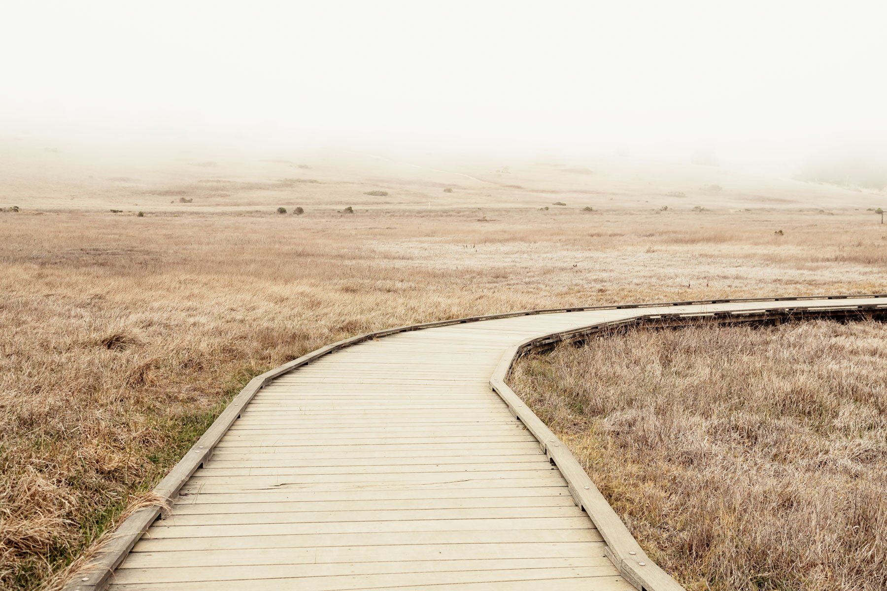 CAMBRIA PATH #1