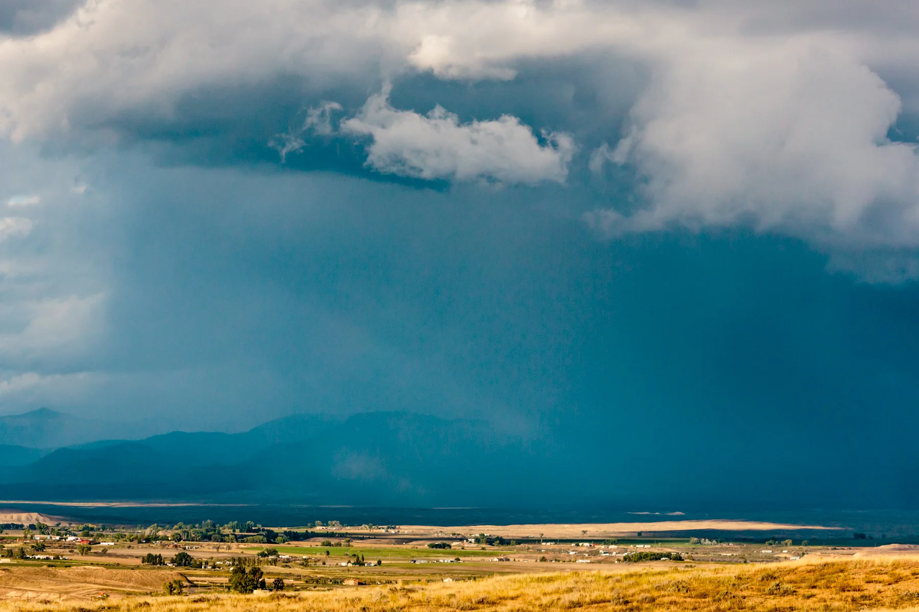 NEVADA LANDSCAPE #1