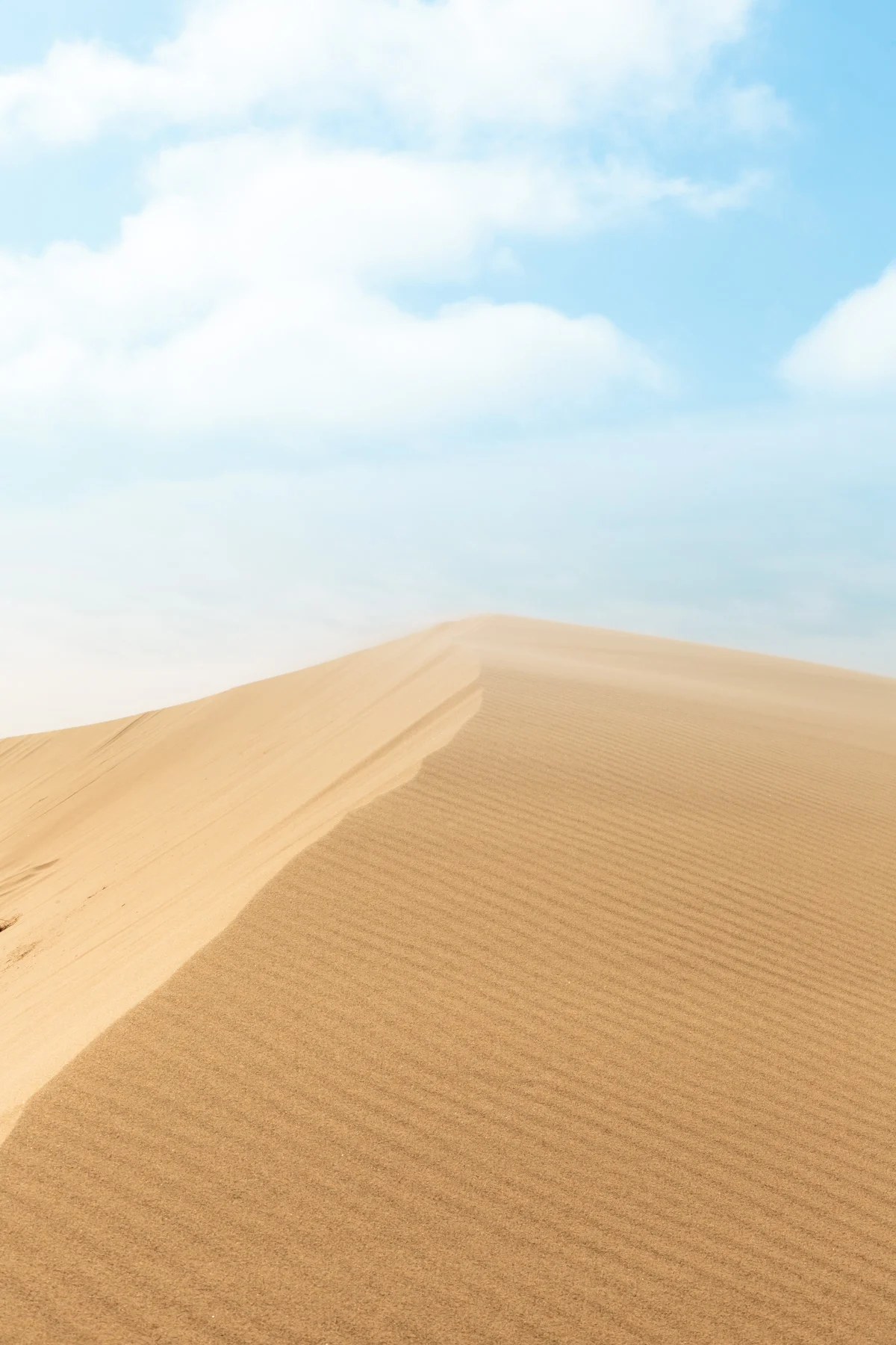 OREGON DUNES #1