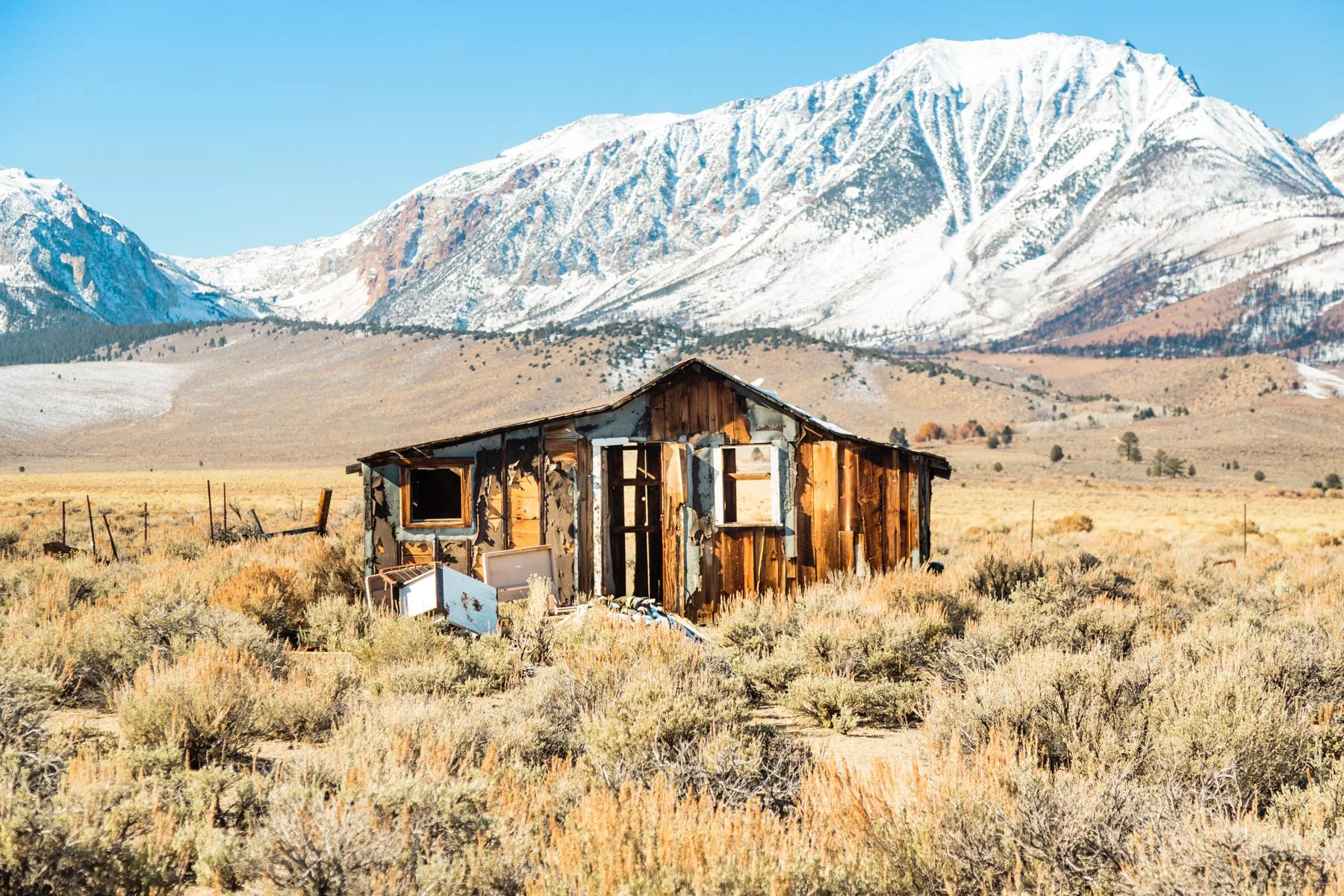 western_terrain_1800_shed.jpg