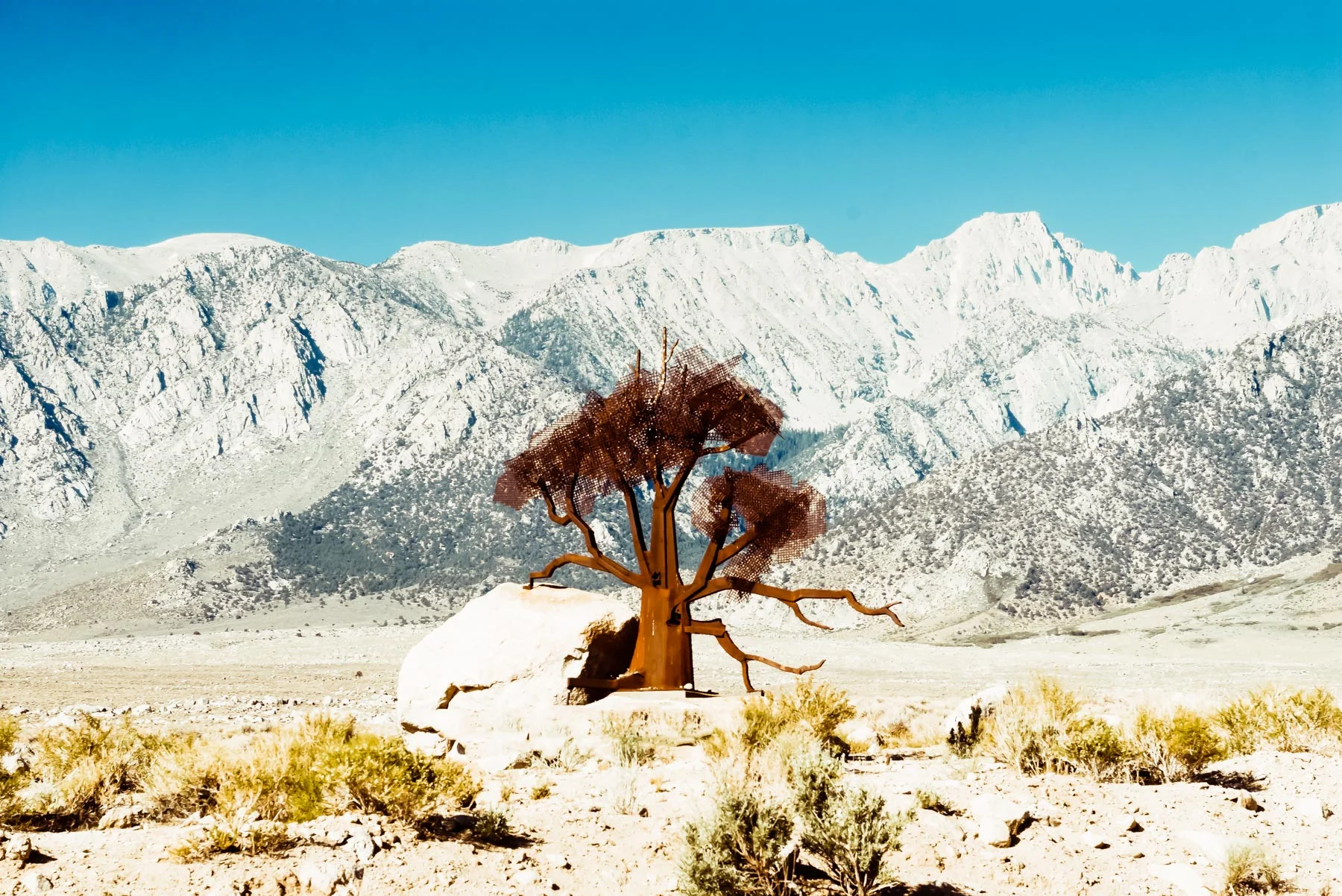 DEATH VALLEY #1