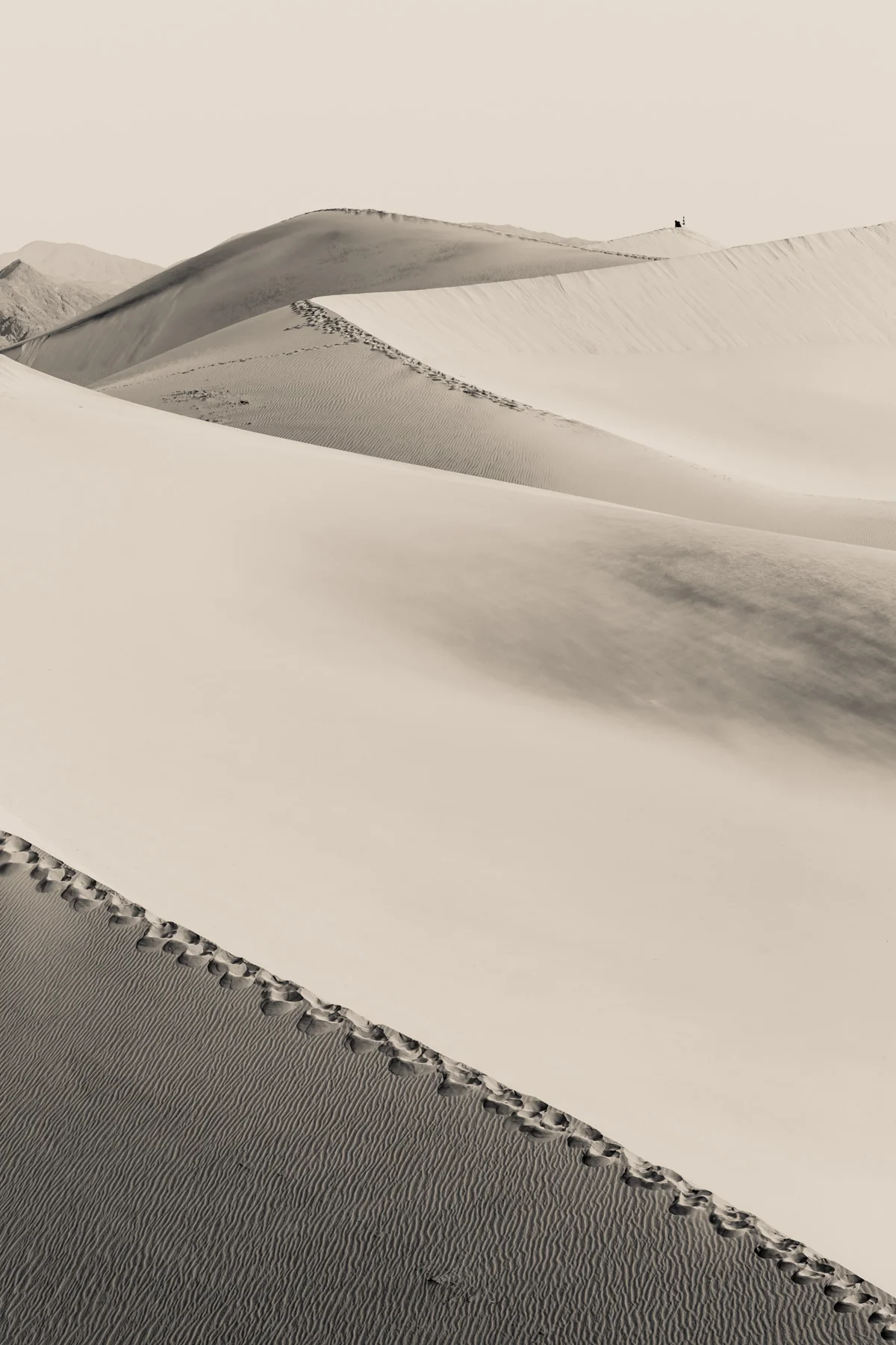 western_terrain_1800-93.jpg