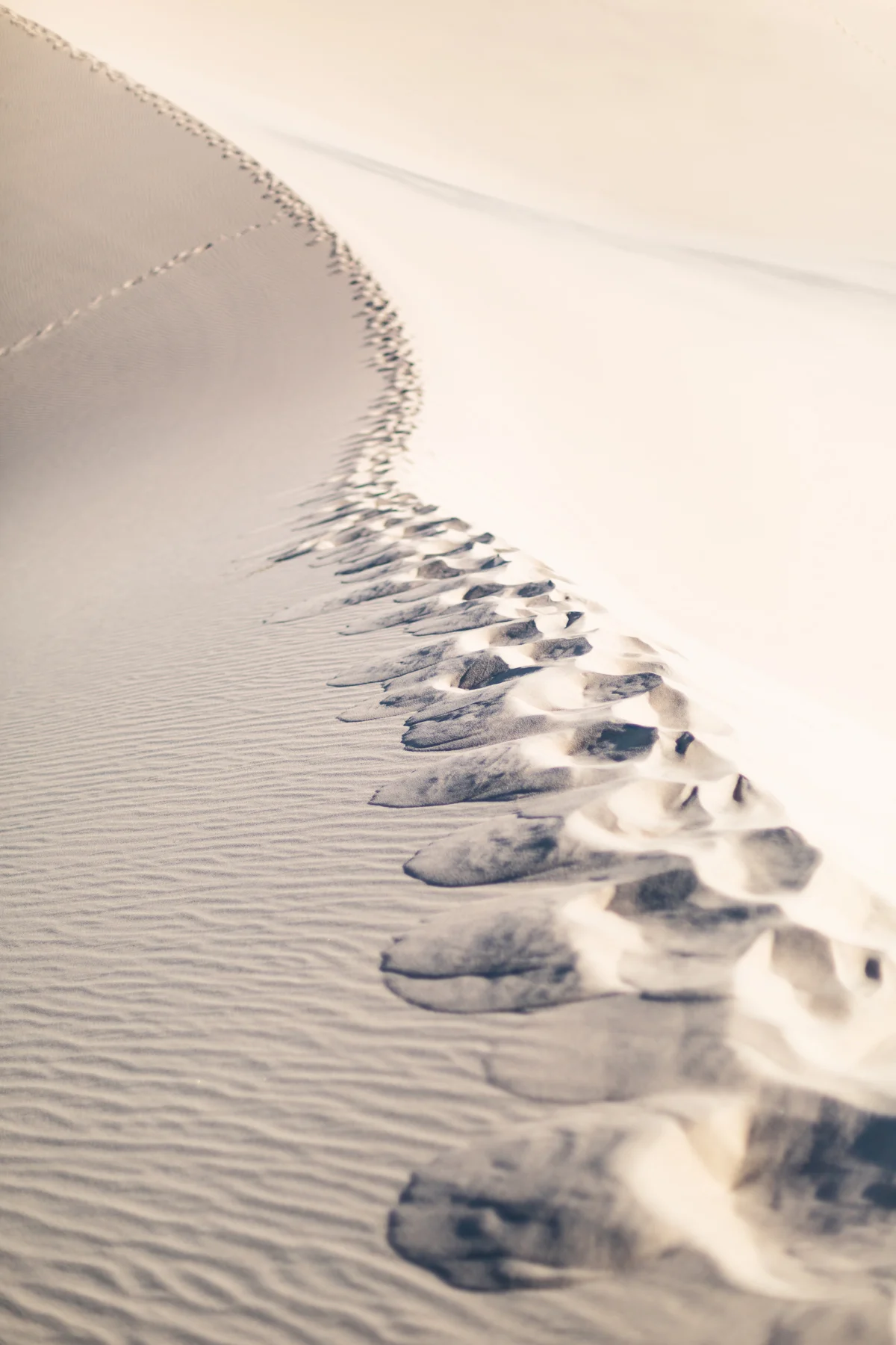 THE DUNES #1