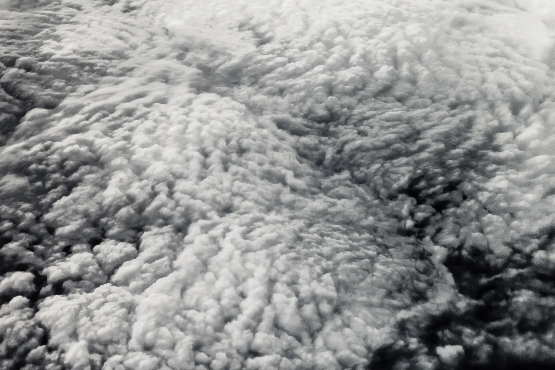 aerial_1800-8.jpg