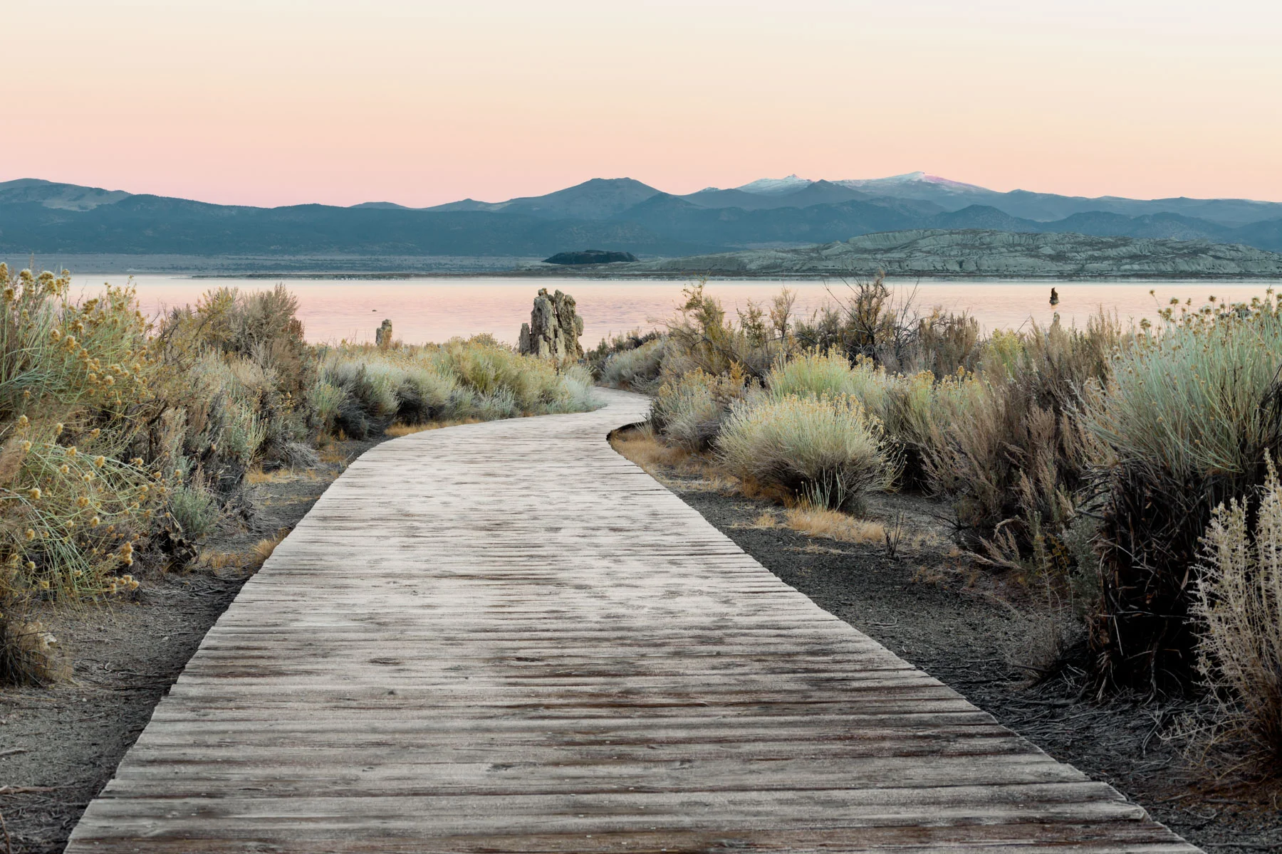 MONO LAKE #2