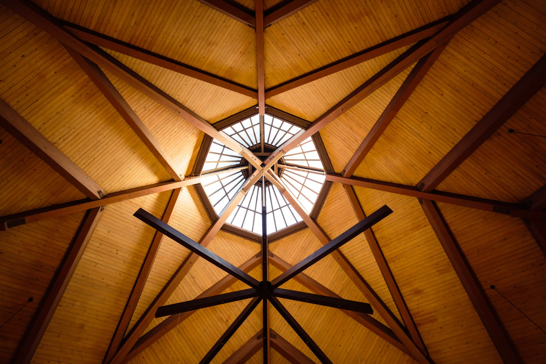 architecture_1800_ohm-3.jpg
