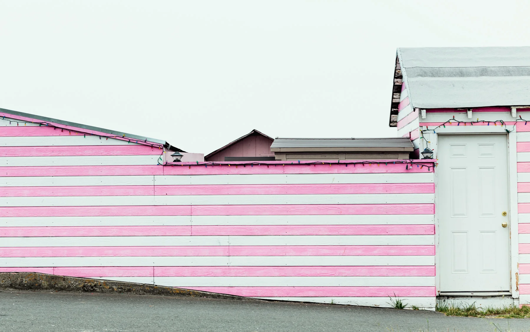 bodega_patricks_taffy.jpg