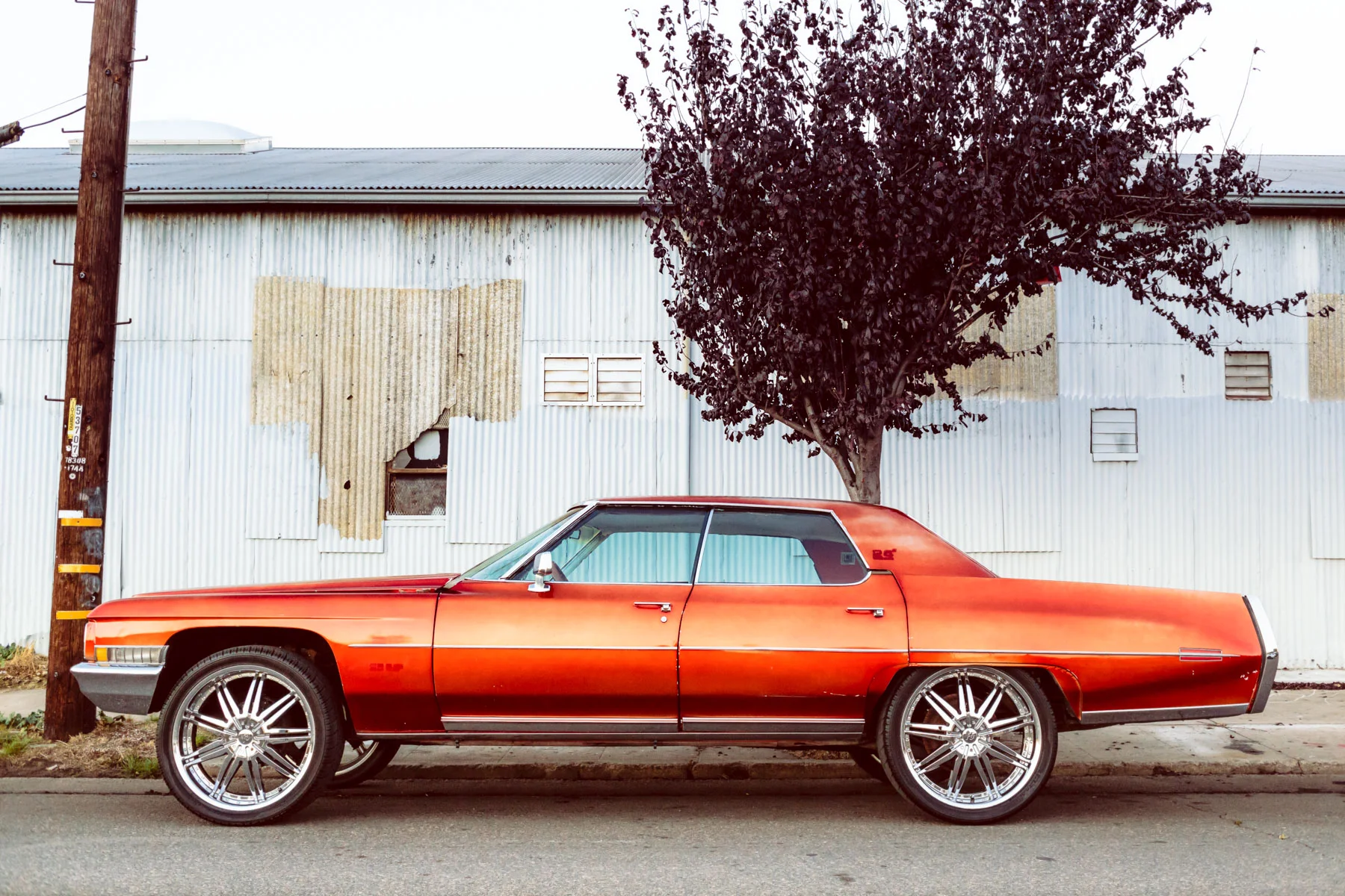 wheels_1800_donk_west_oakland.jpg