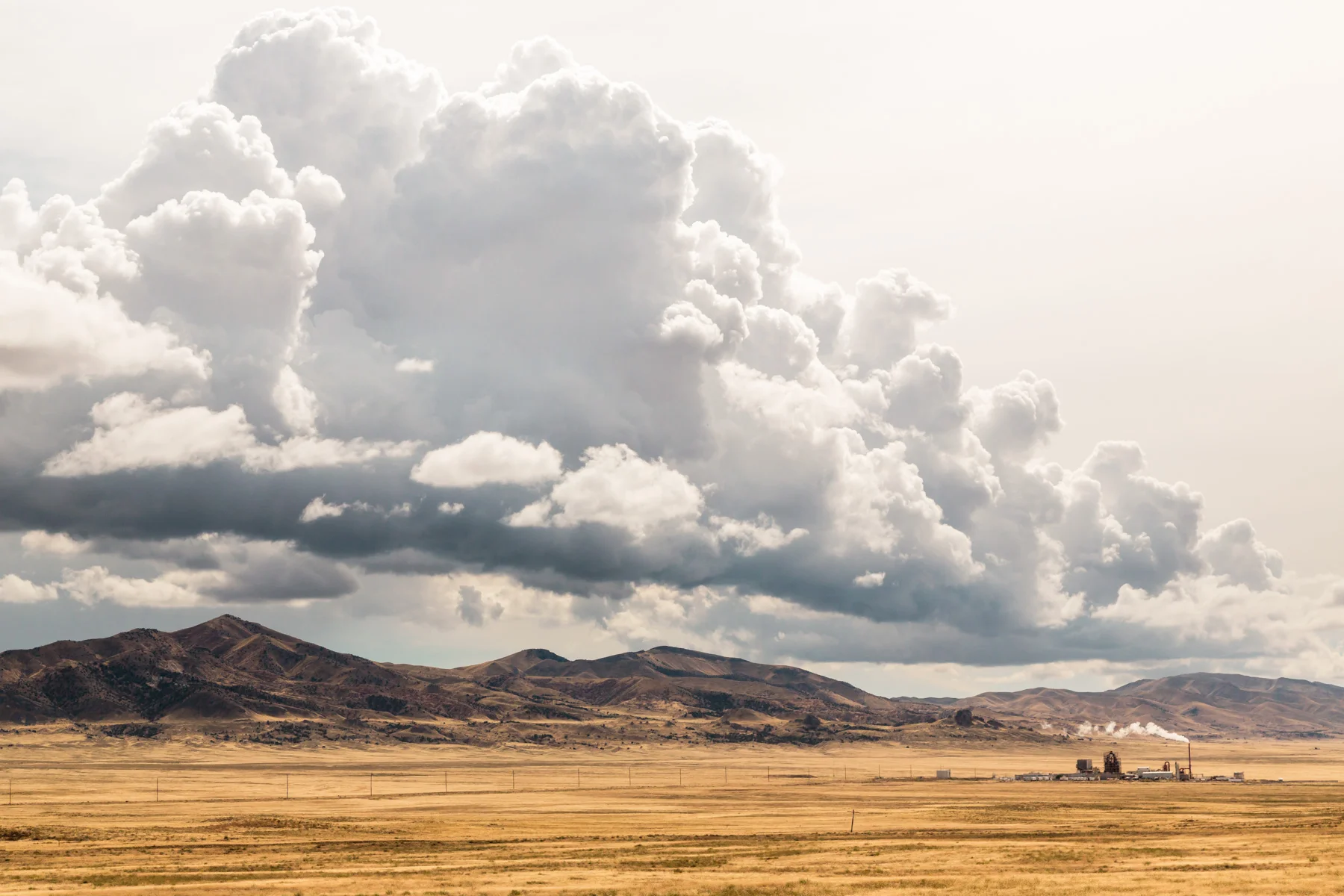 rural_1800-8.jpg