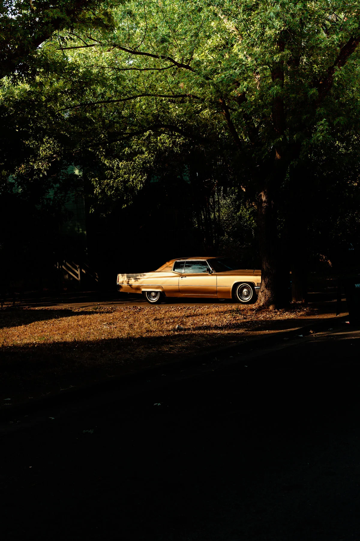 chico_car_1800.jpg