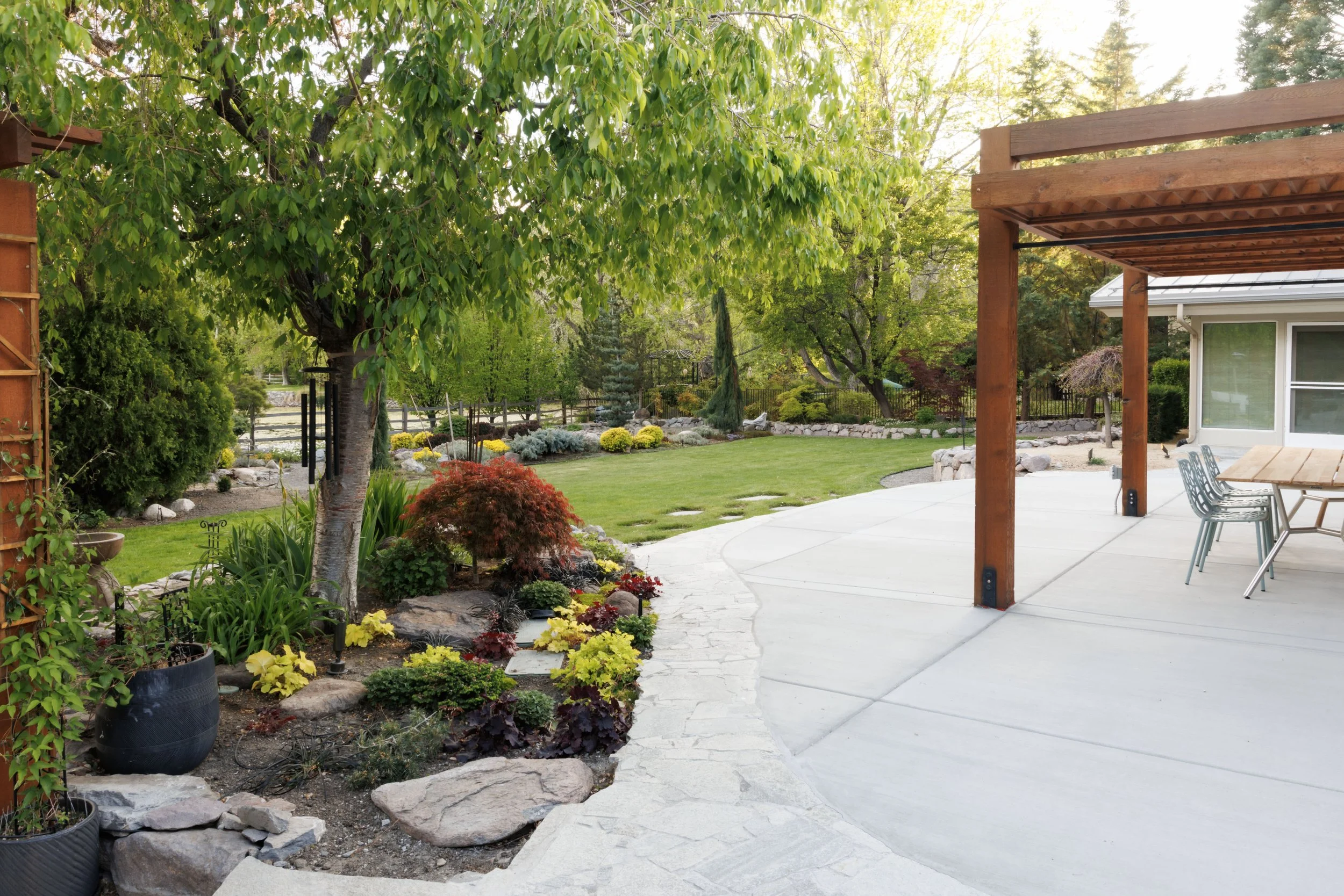 01366-reno-nelson-260424.jpg