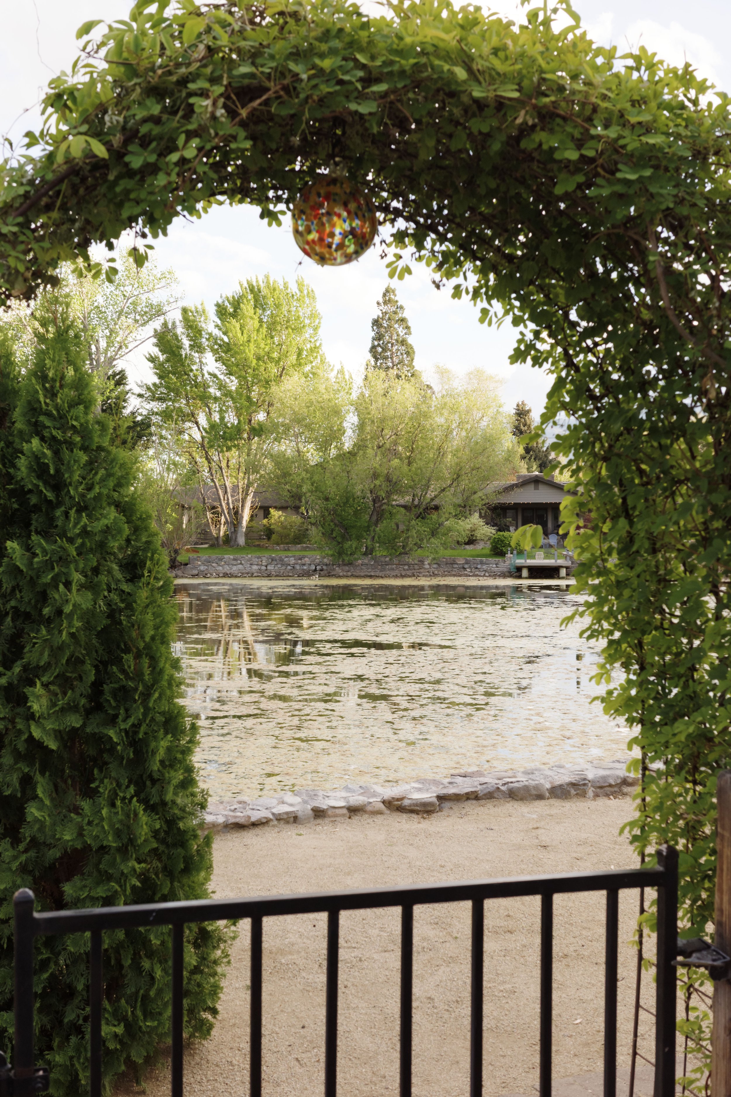 01446-reno-nelson-ricoh-260424.jpg