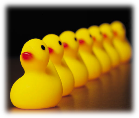 Ducks lined up.png