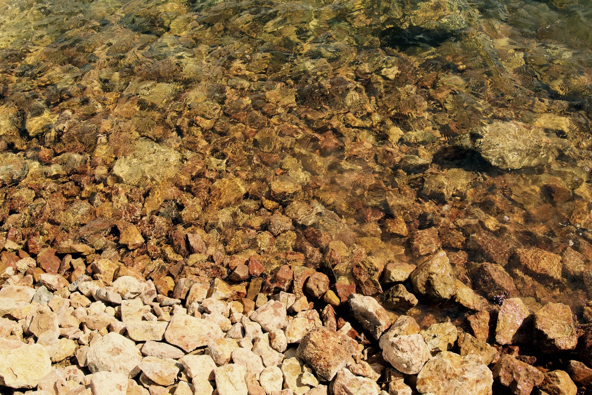 Content Depth and Breadth
